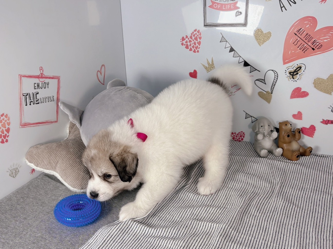 赤ちゃん写真2-2