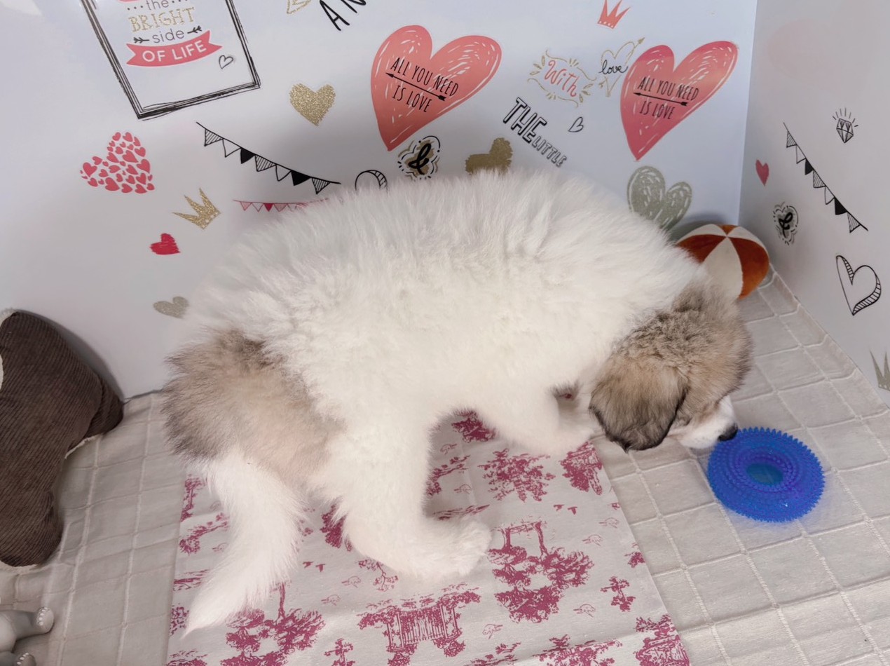 赤ちゃん写真3-3