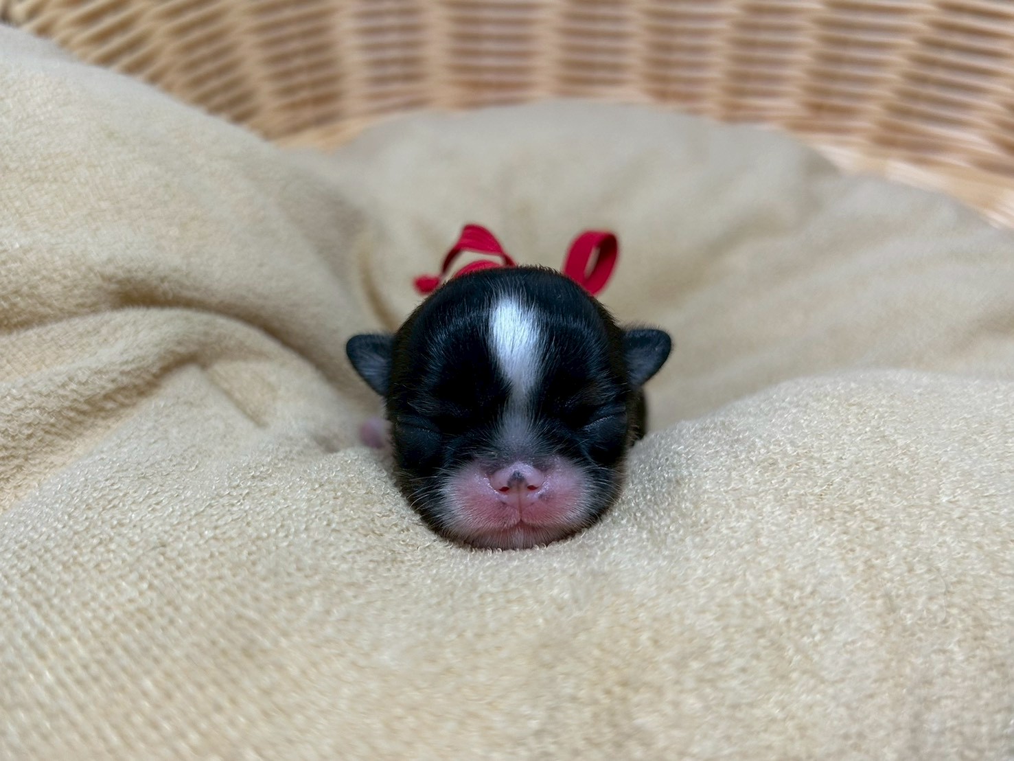 赤ちゃん写真1-1