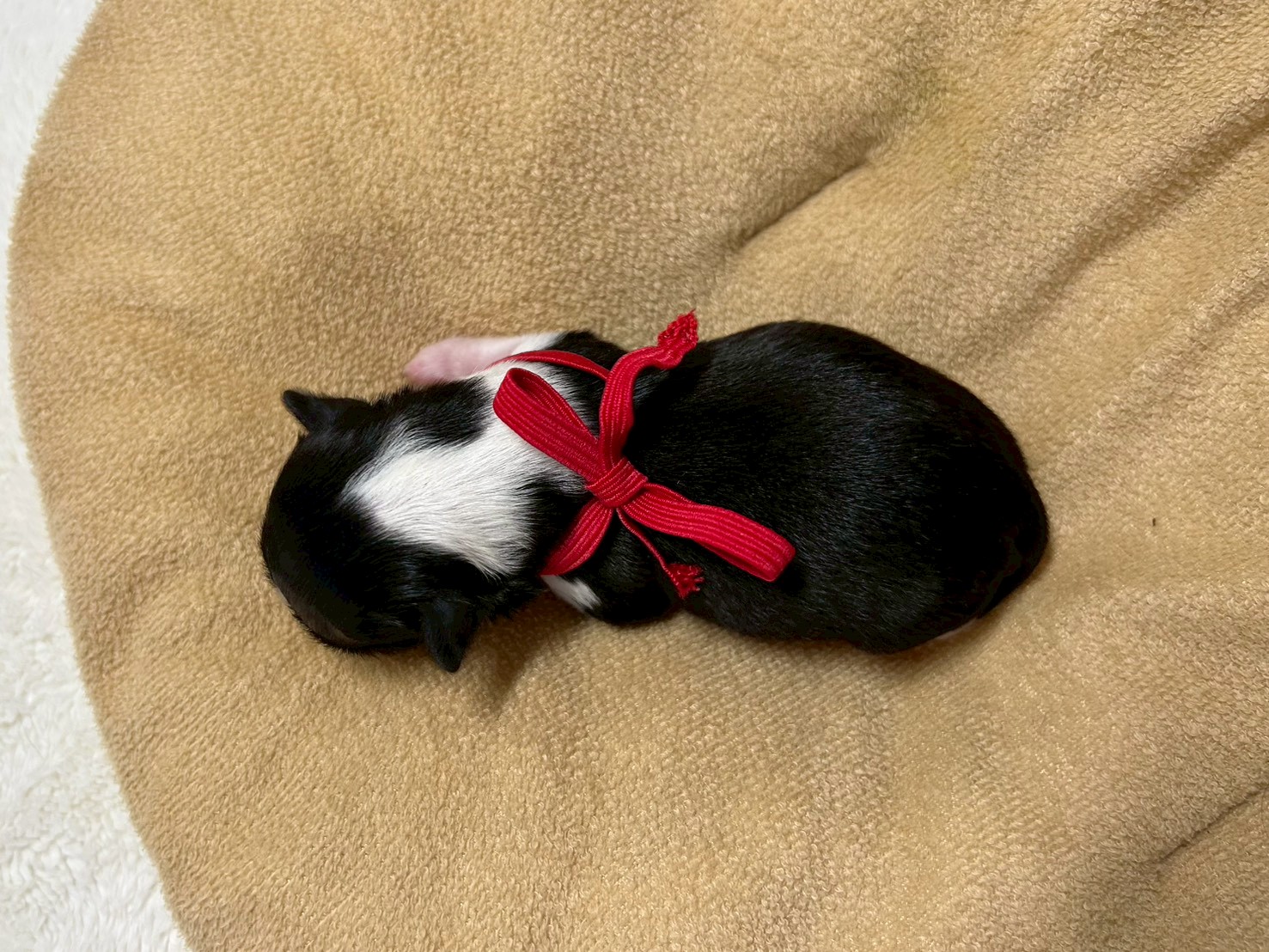 赤ちゃん写真1-3