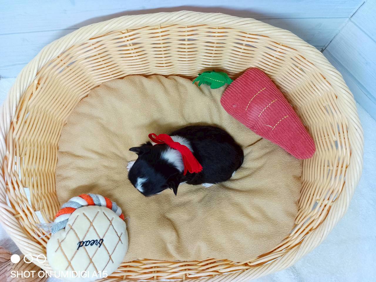 赤ちゃん写真2-3