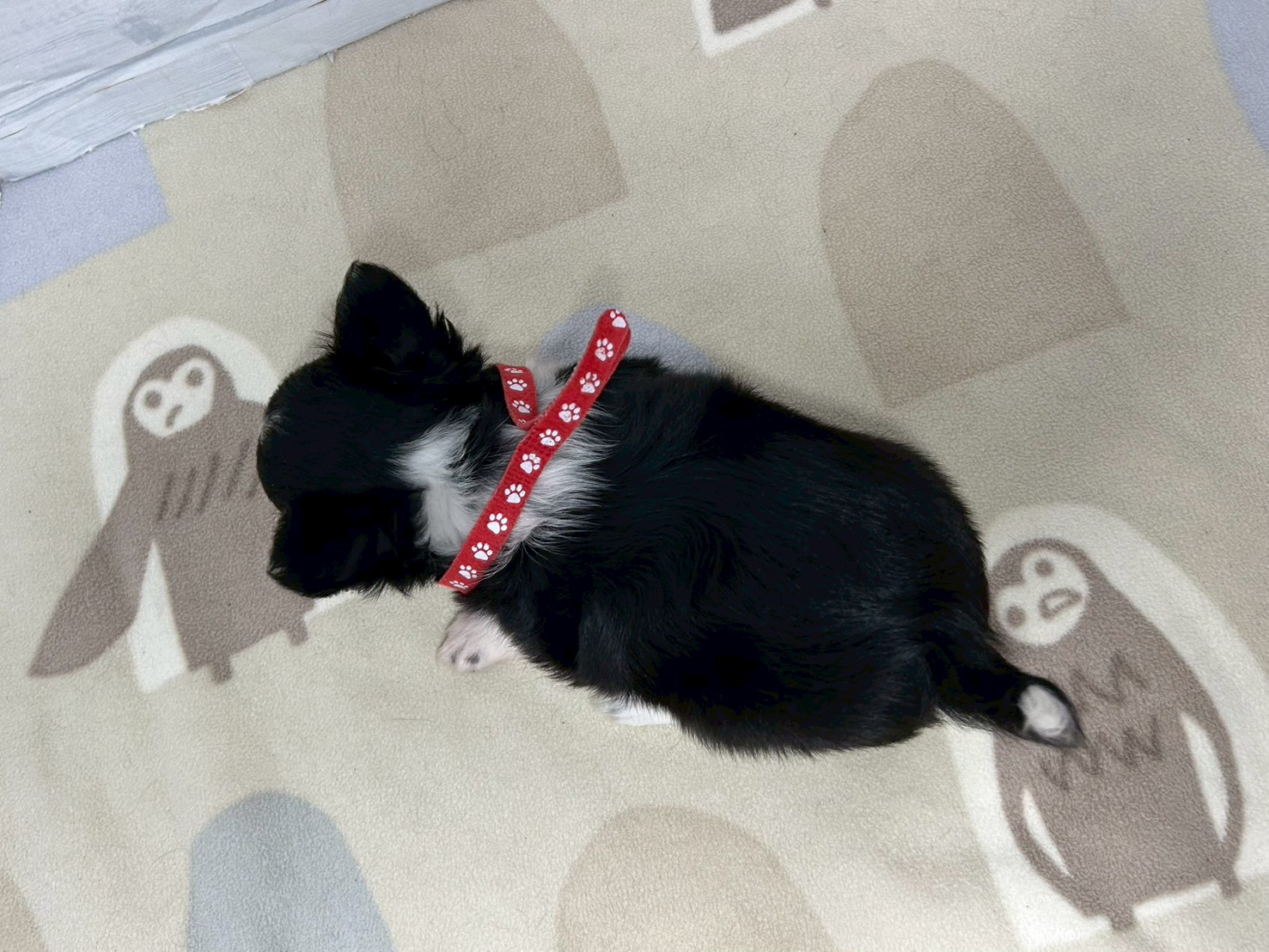 赤ちゃん写真3-3