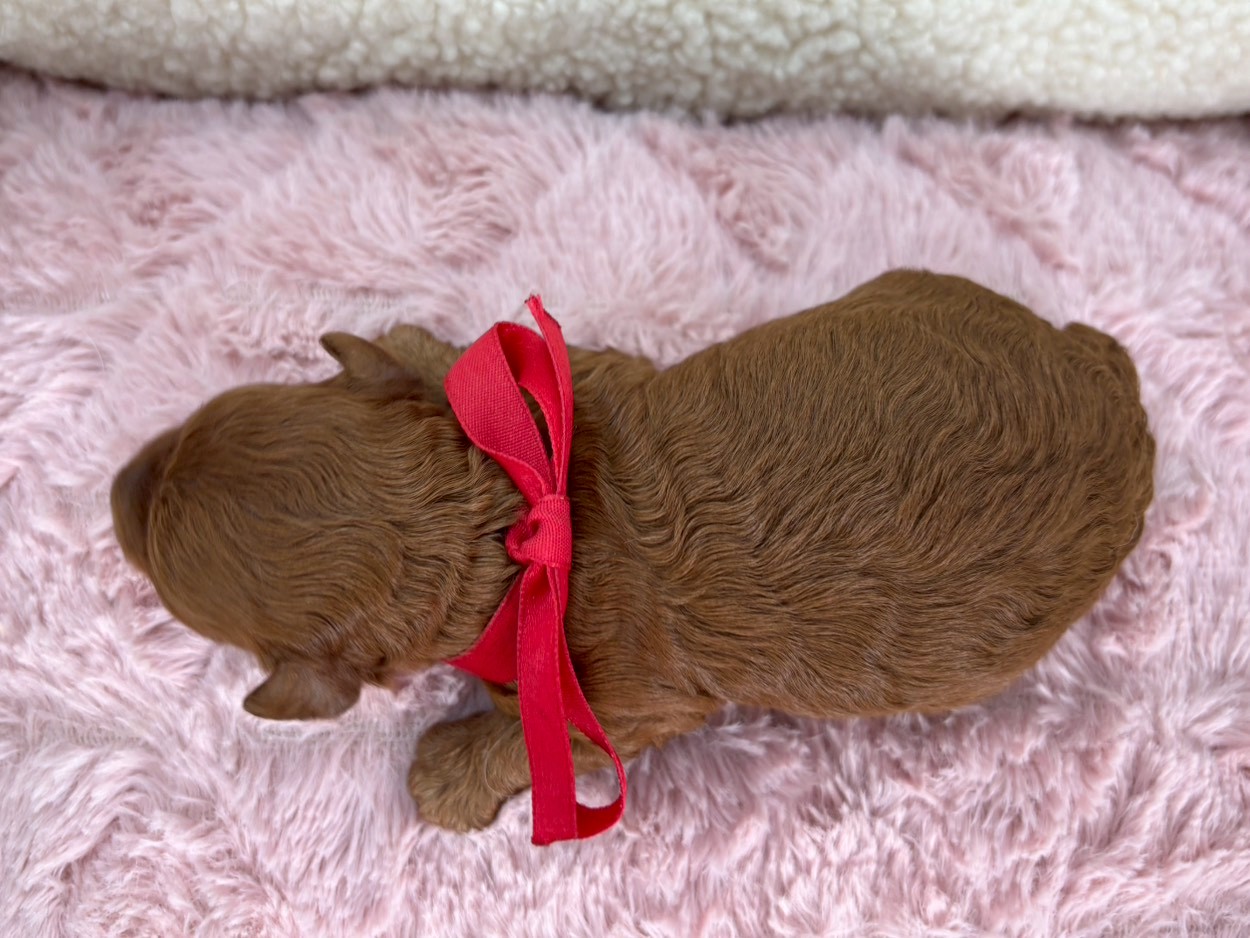 赤ちゃん写真1-3
