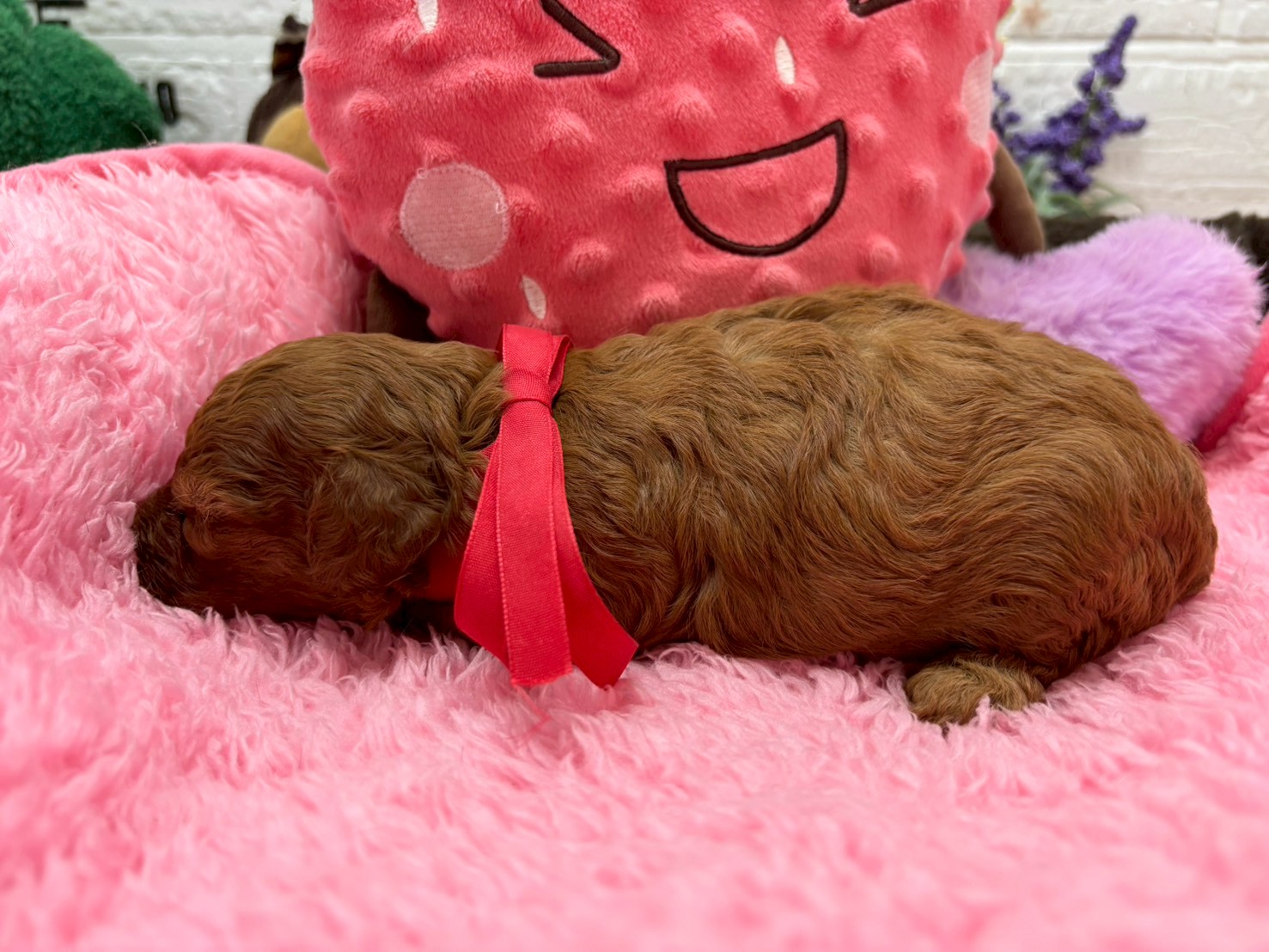 赤ちゃん写真2-2