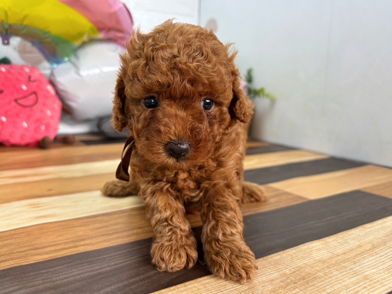 赤ちゃん写真3-1