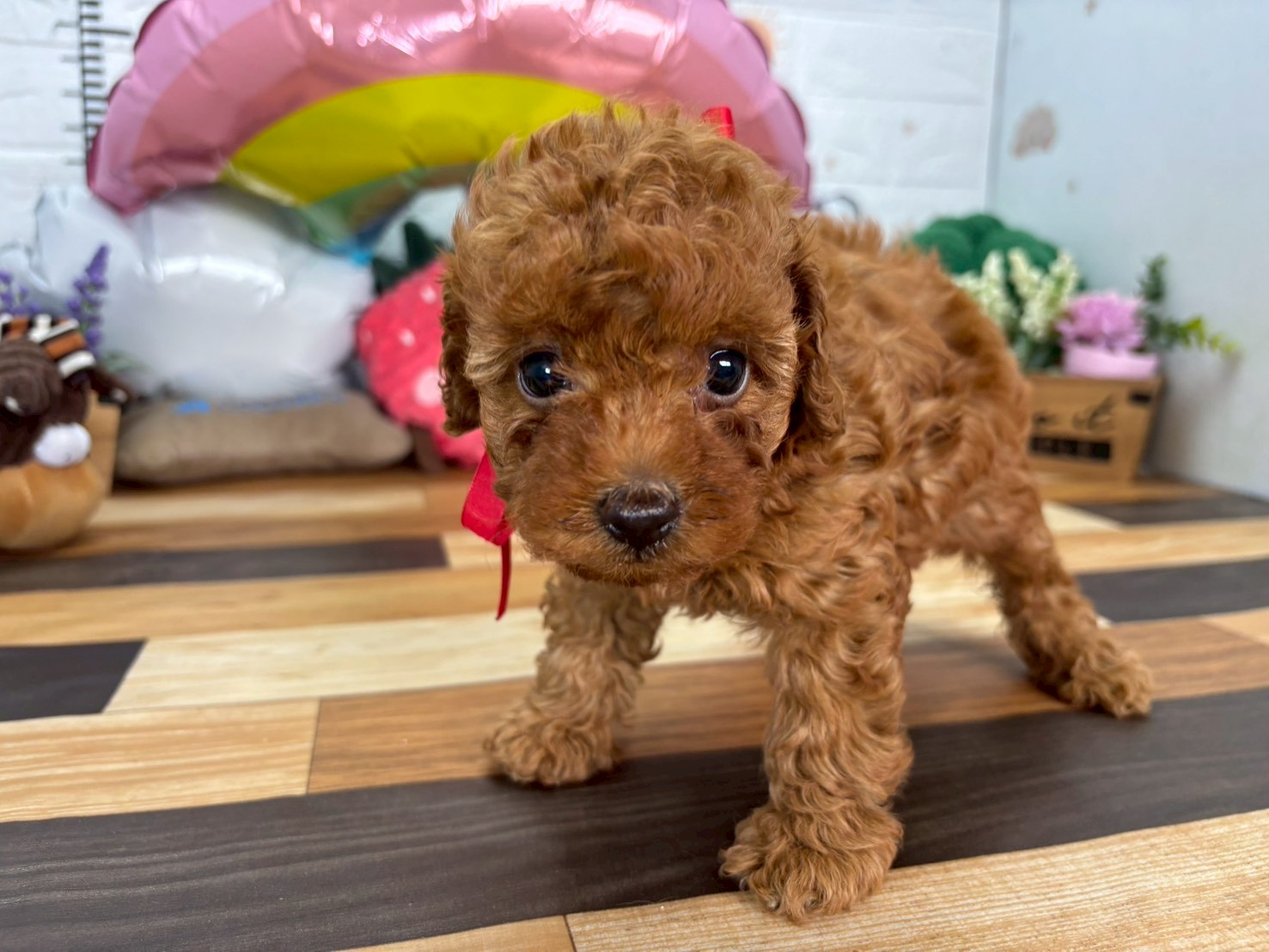 赤ちゃん写真3-1