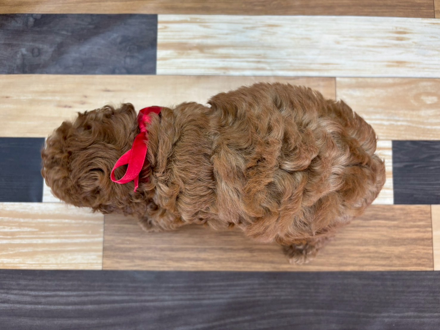 赤ちゃん写真3-3
