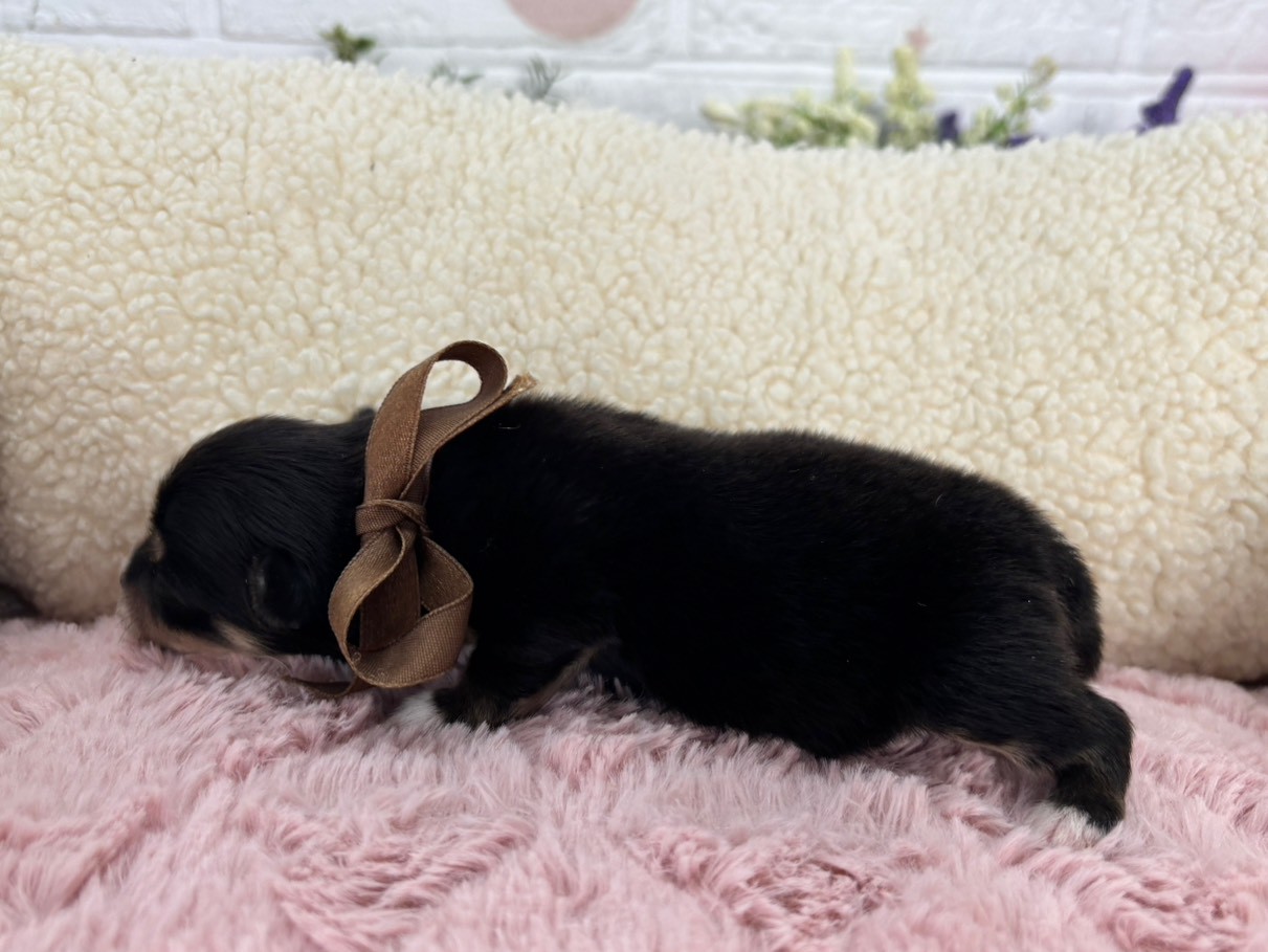 赤ちゃん写真1-2