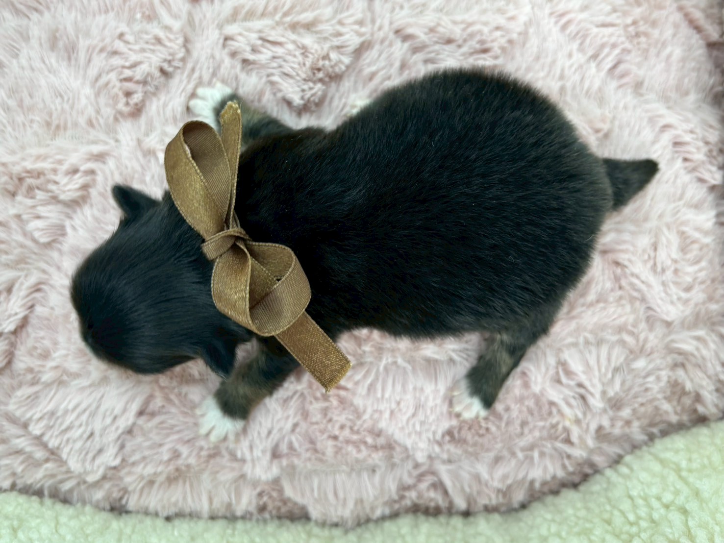 赤ちゃん写真1-3