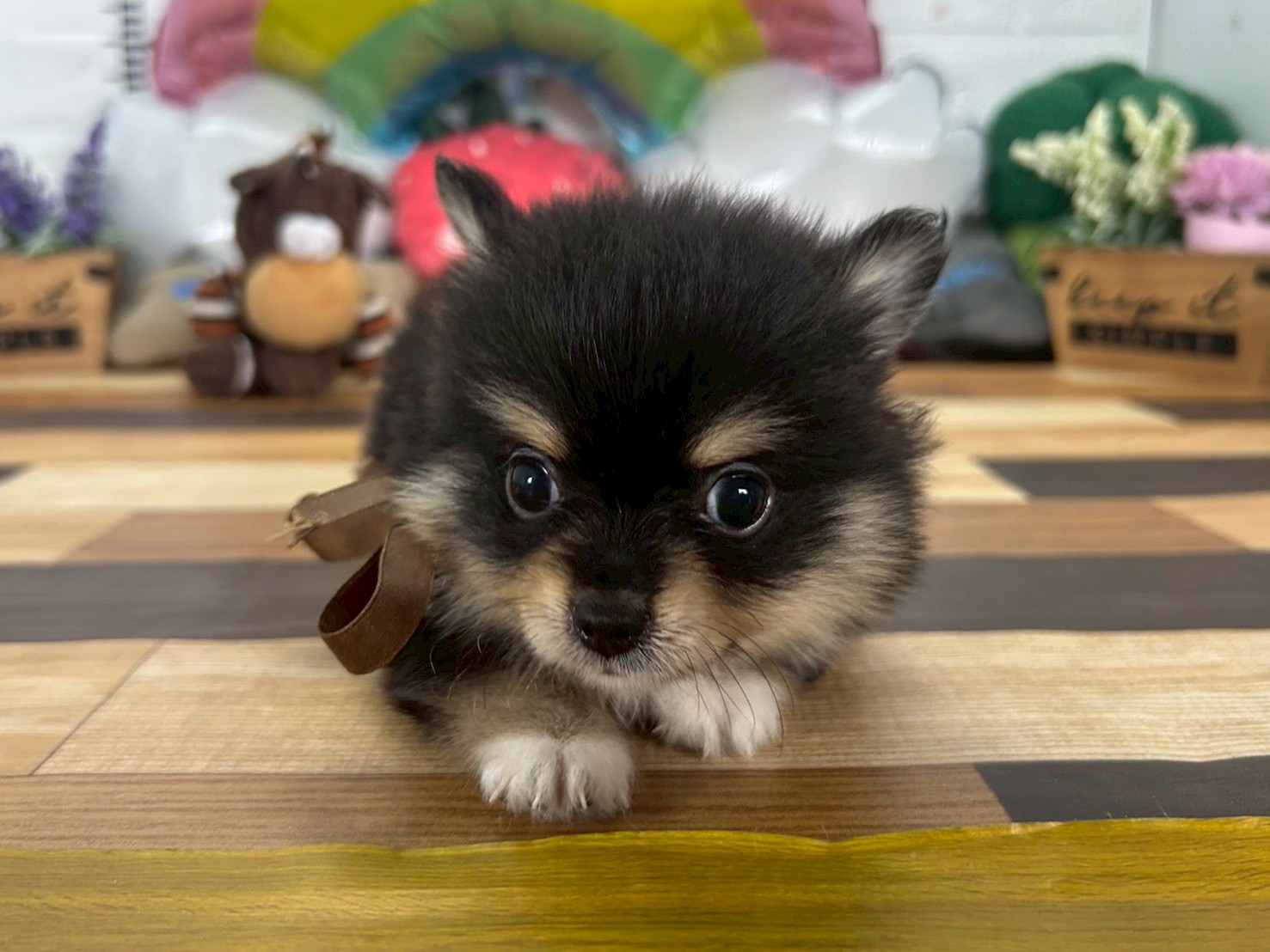 赤ちゃん写真3-1