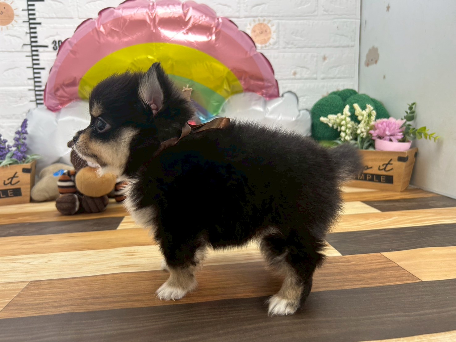 赤ちゃん写真3-2