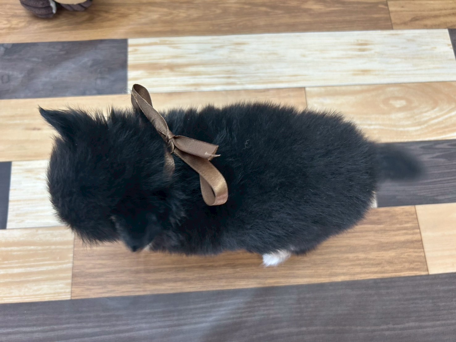 赤ちゃん写真3-3