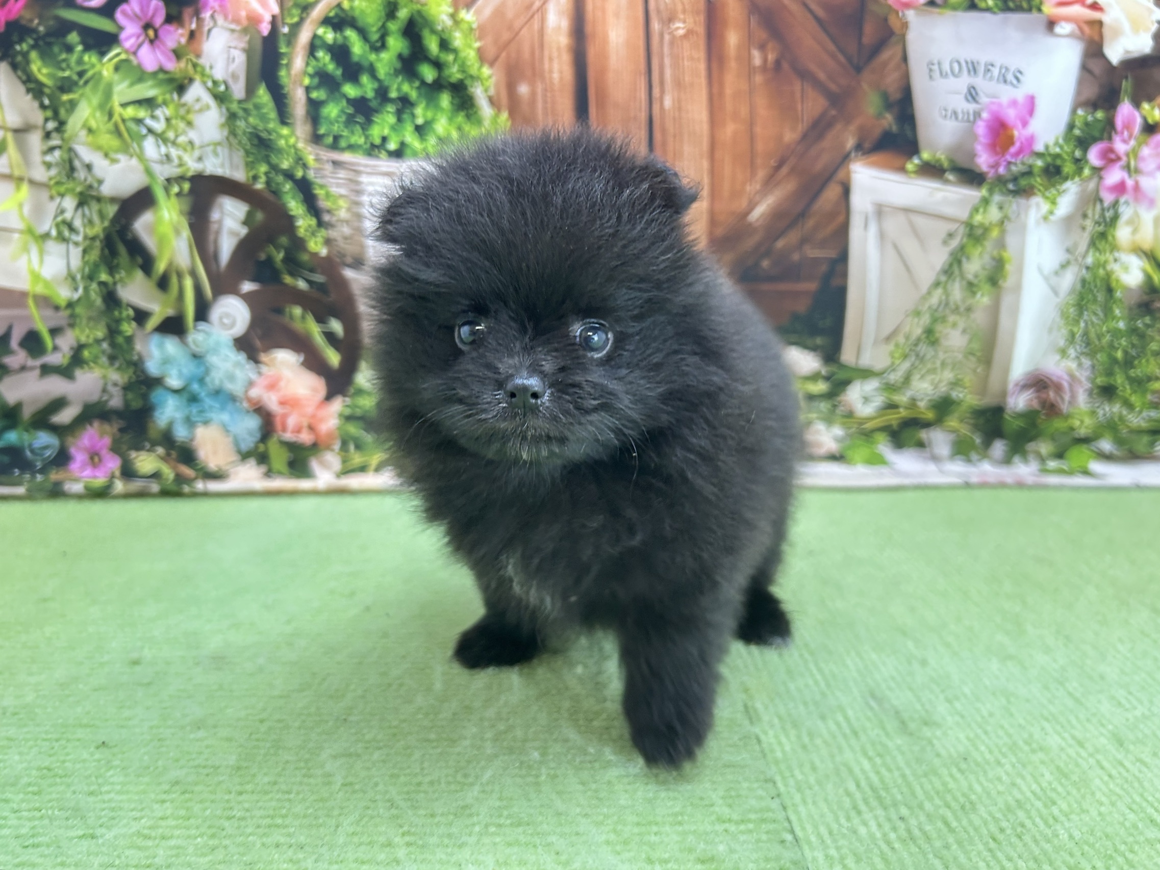 赤ちゃん写真2-2