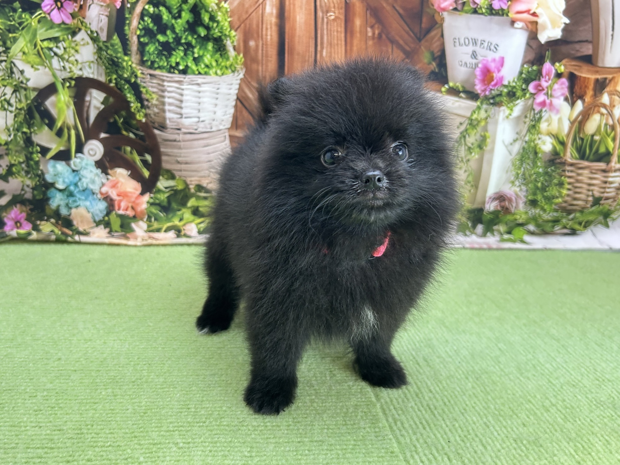 赤ちゃん写真3-1