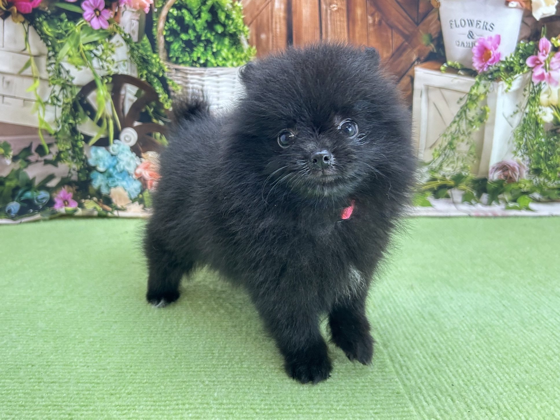 赤ちゃん写真3-2