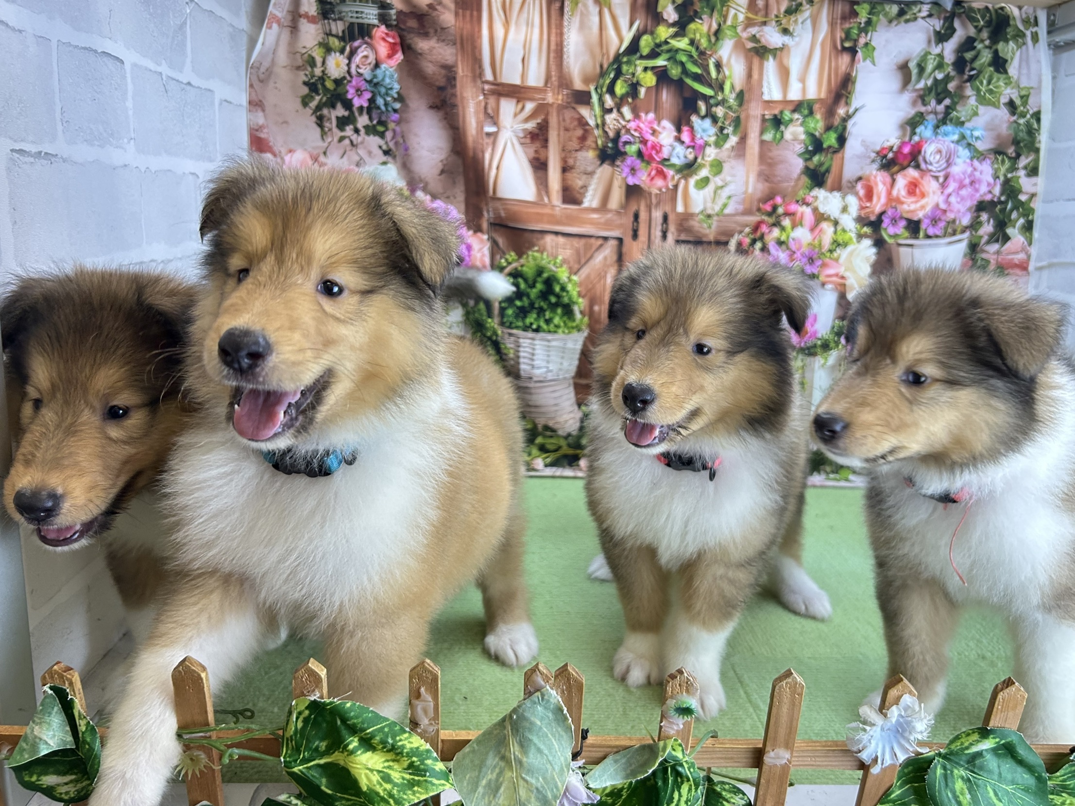 赤ちゃん写真3-3