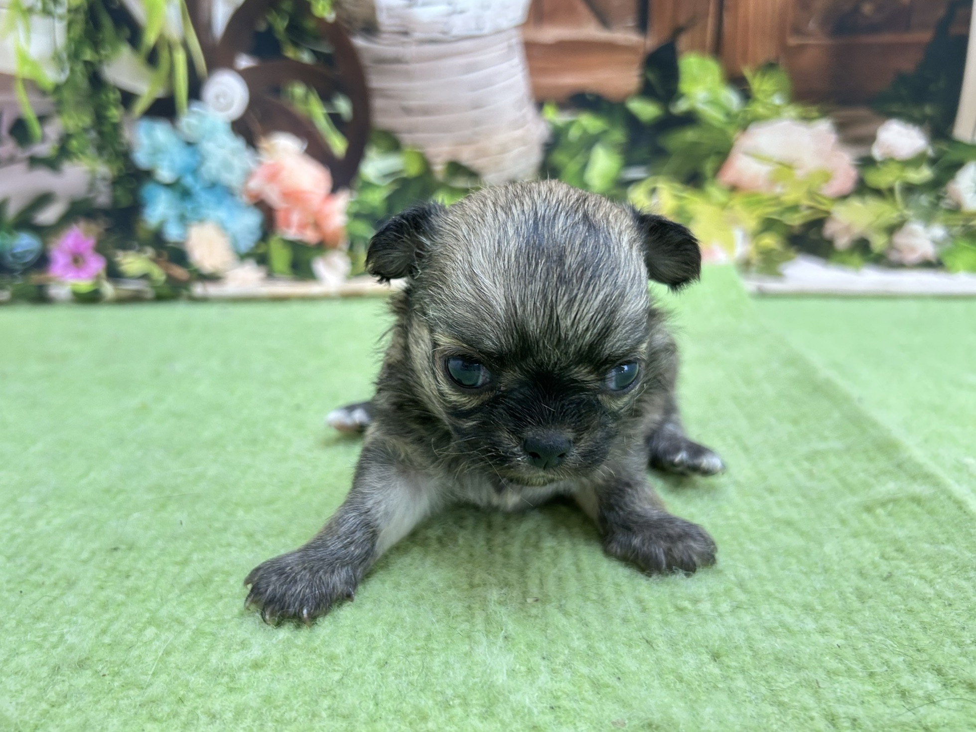 赤ちゃん写真1-1