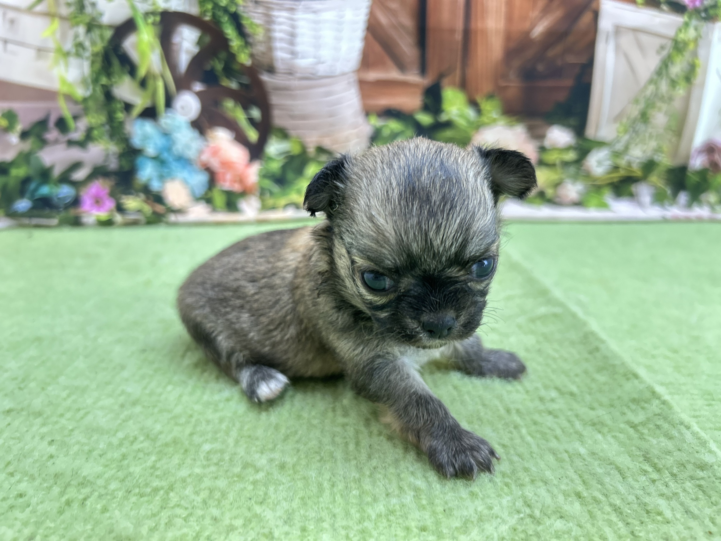 赤ちゃん写真1-2