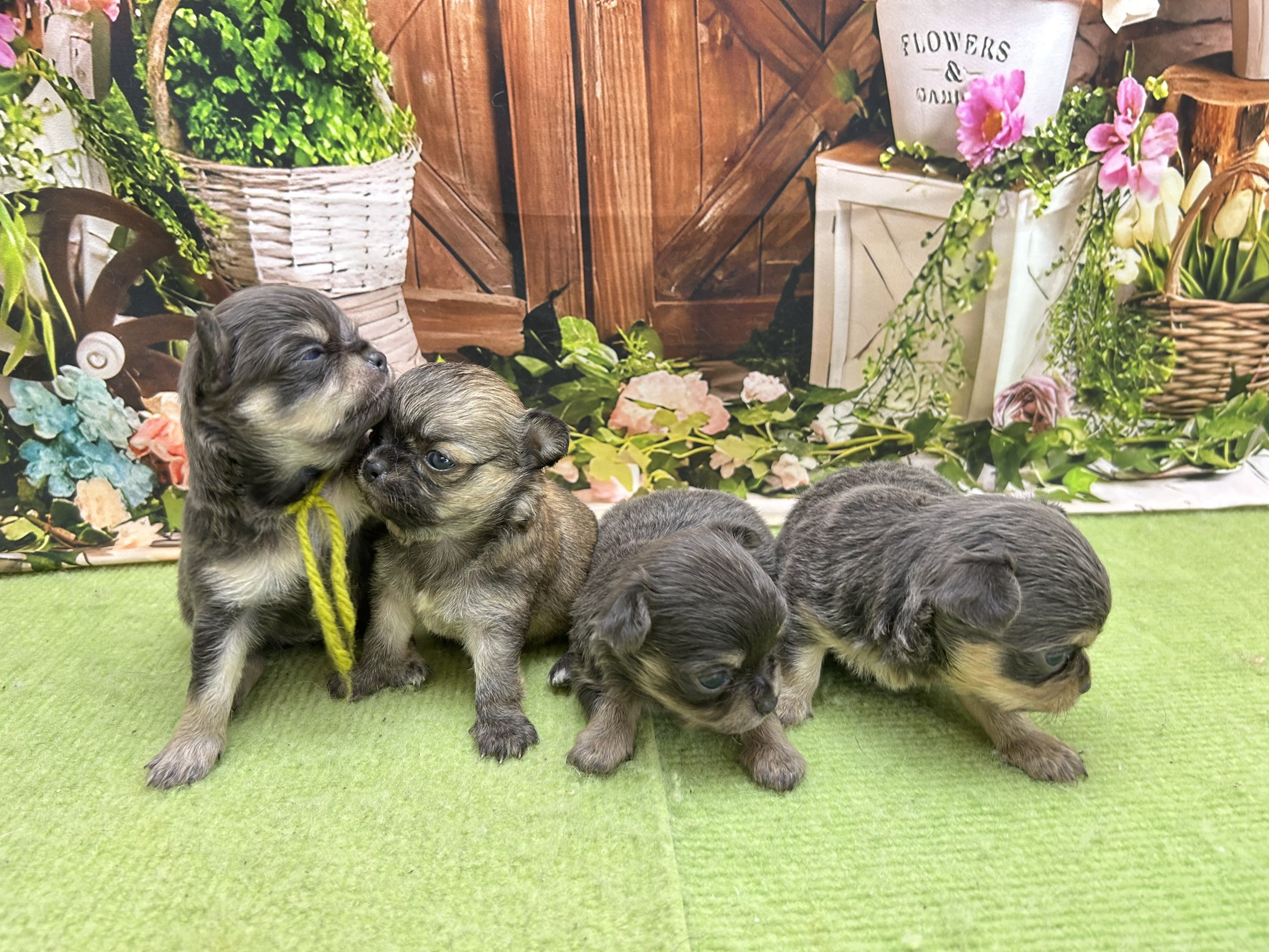 赤ちゃん写真1-3