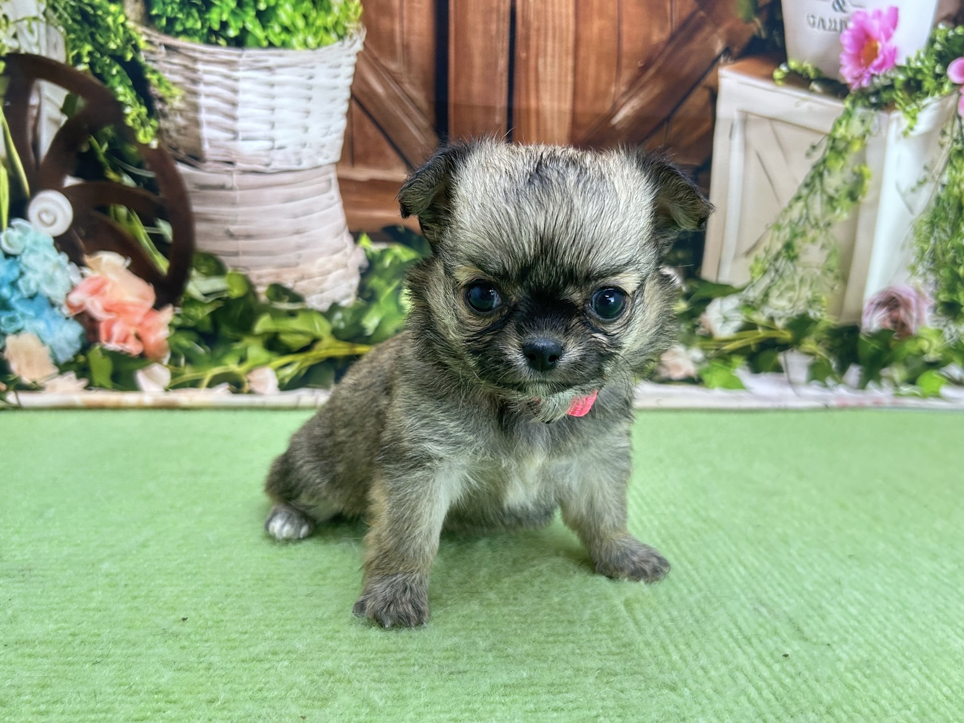 赤ちゃん写真2-1