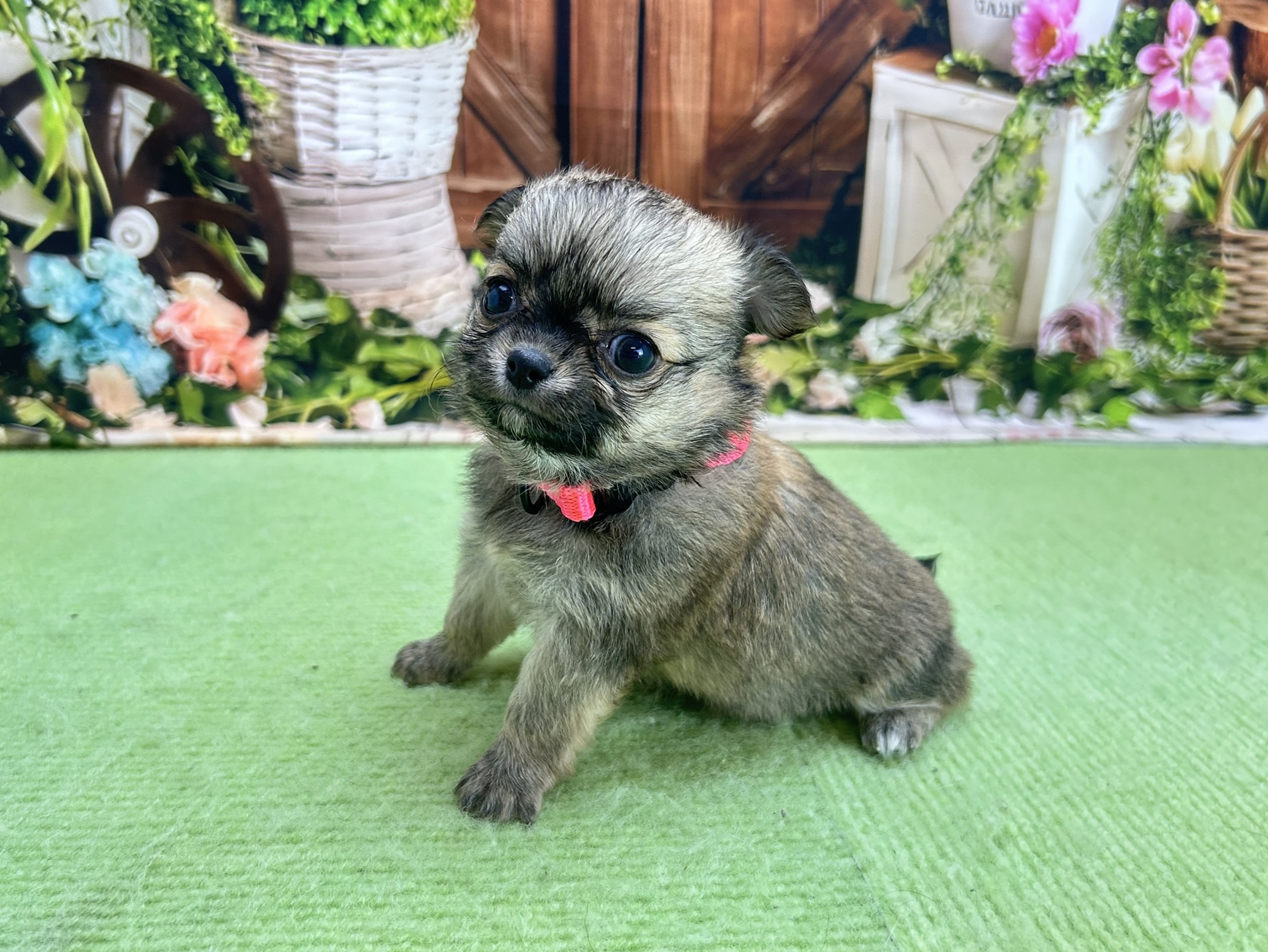 赤ちゃん写真2-2