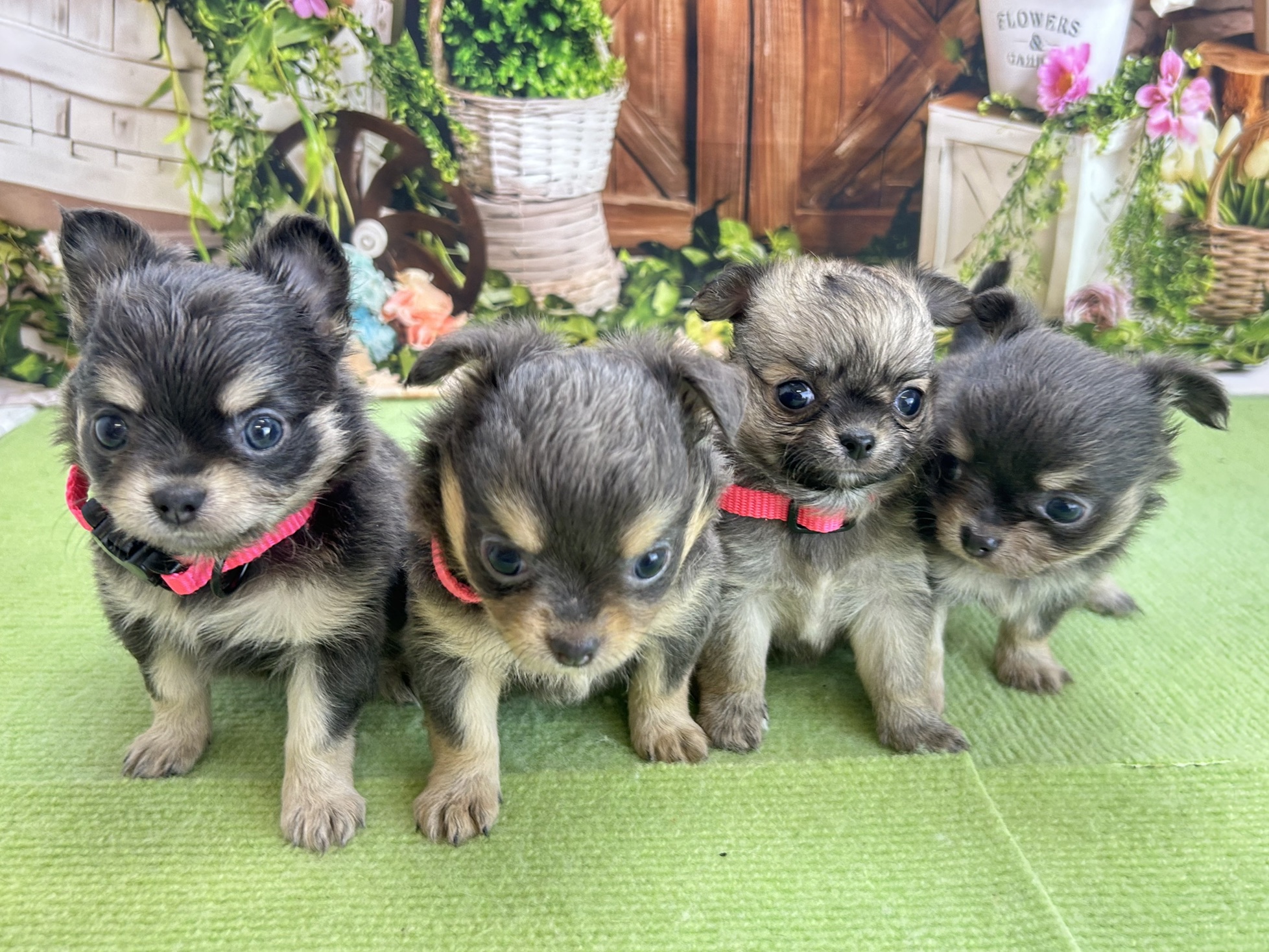 赤ちゃん写真2-3