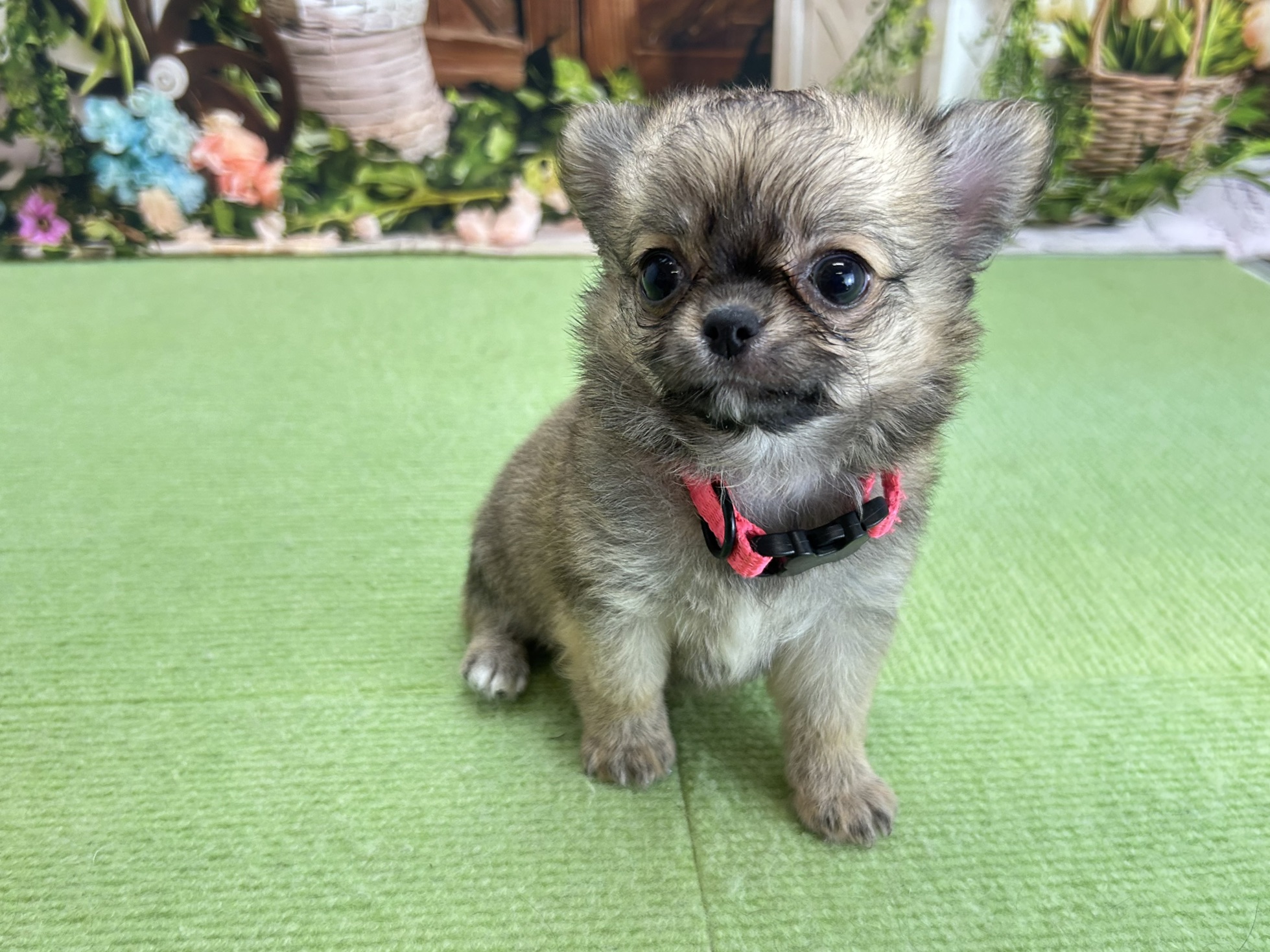 赤ちゃん写真3-1