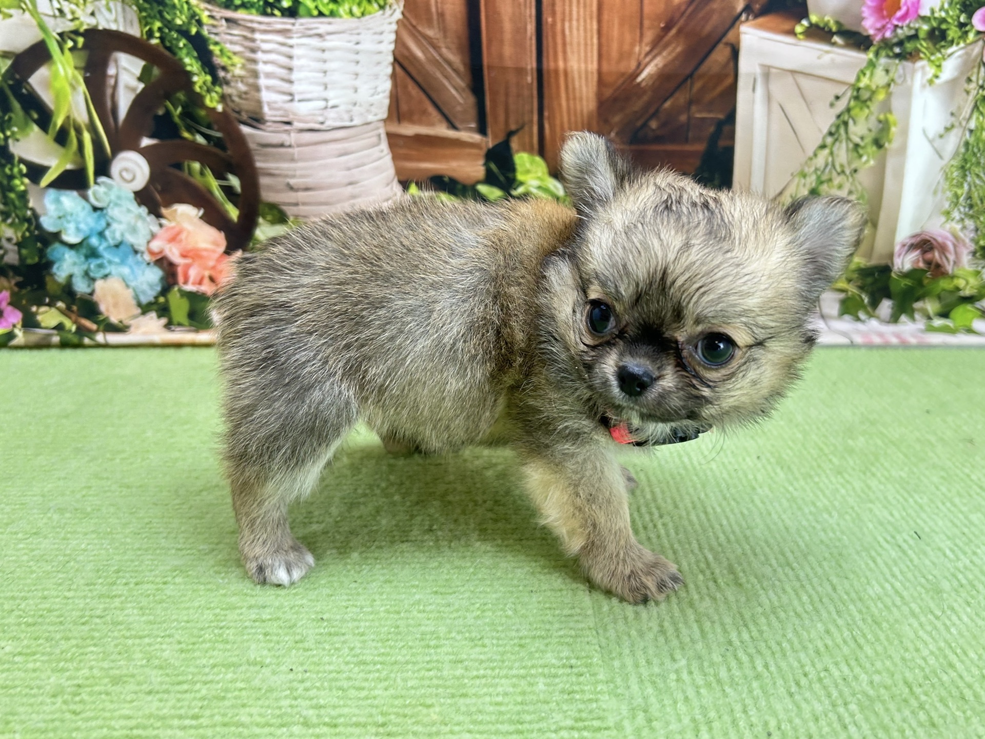 赤ちゃん写真3-2