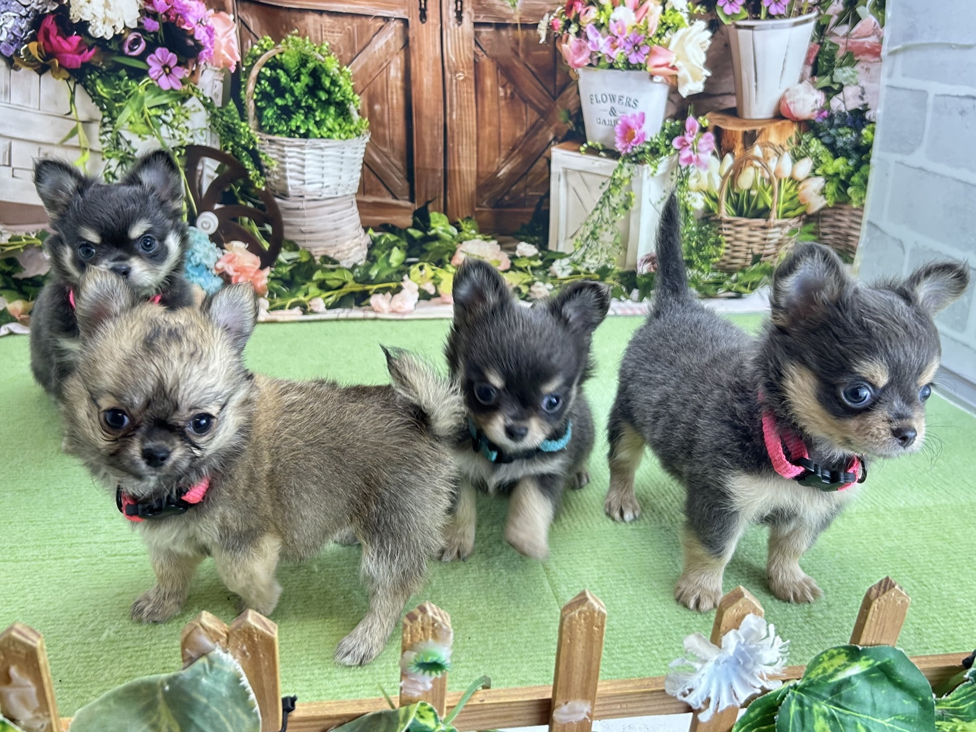 赤ちゃん写真3-3