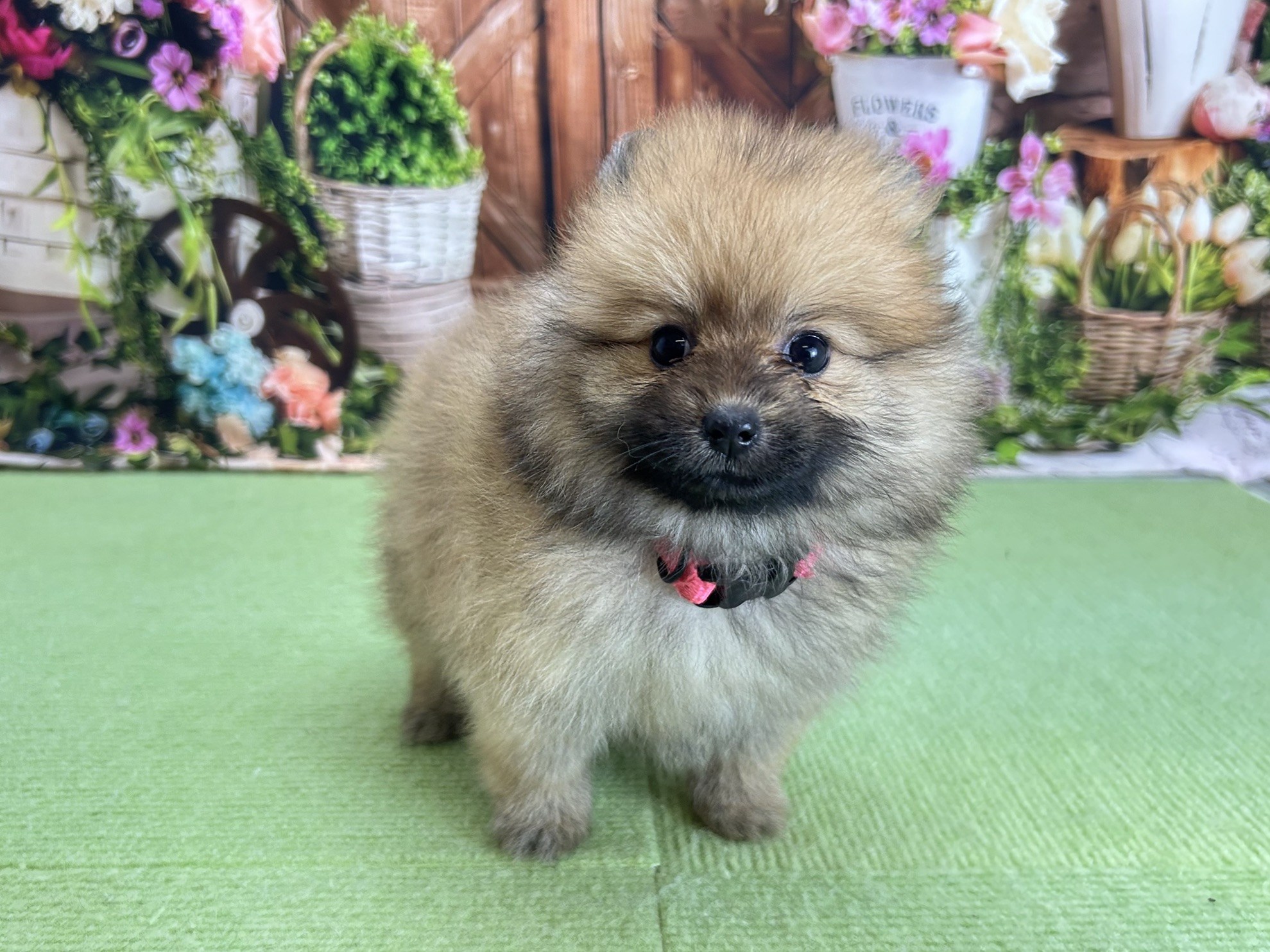 赤ちゃん写真3-1