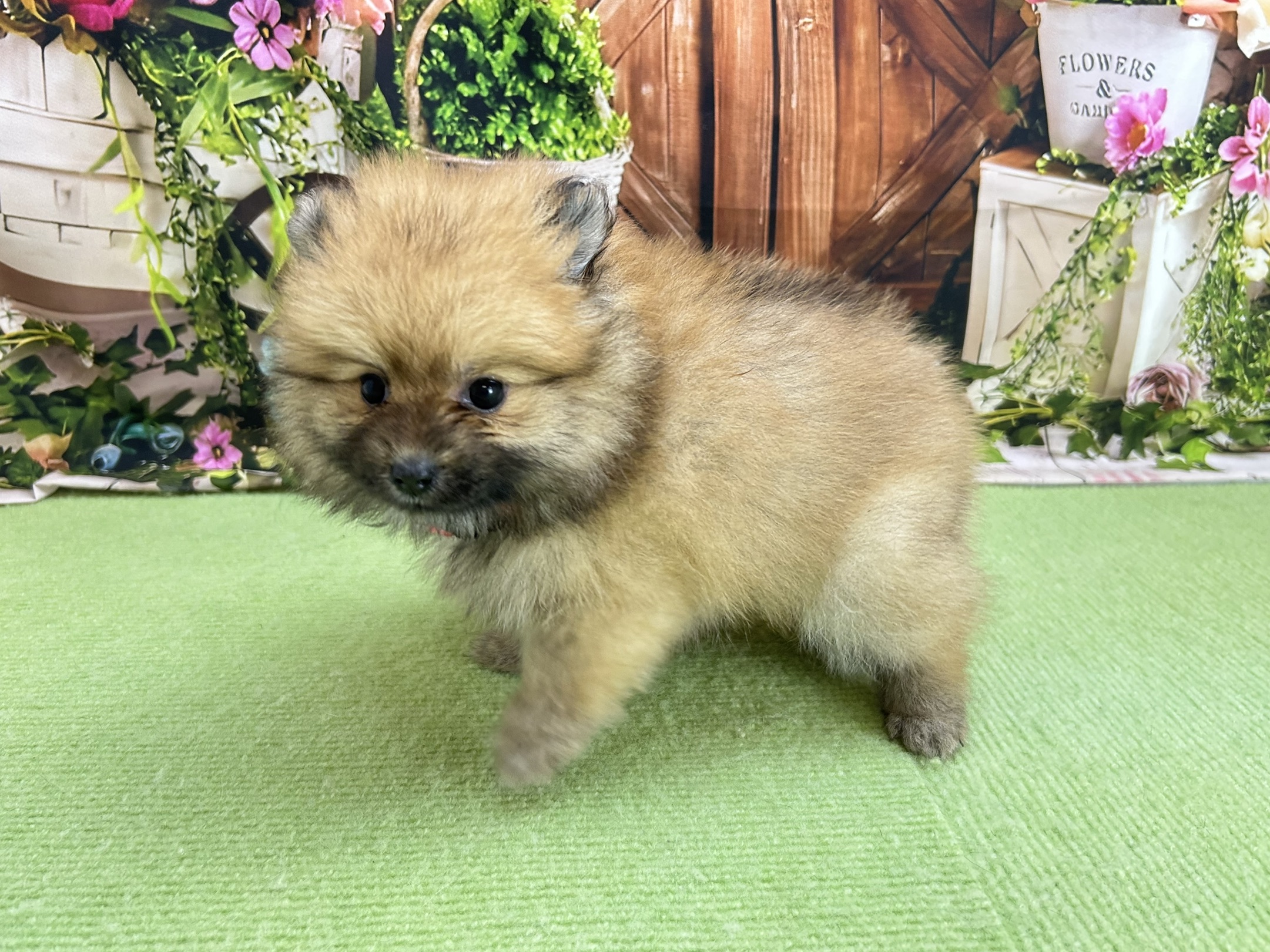 赤ちゃん写真3-2