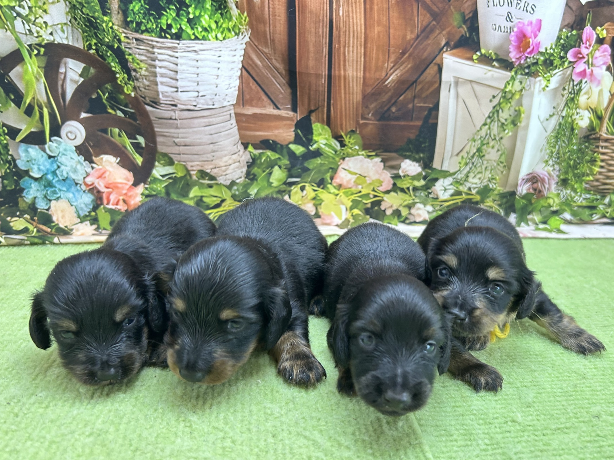 赤ちゃん写真1-3