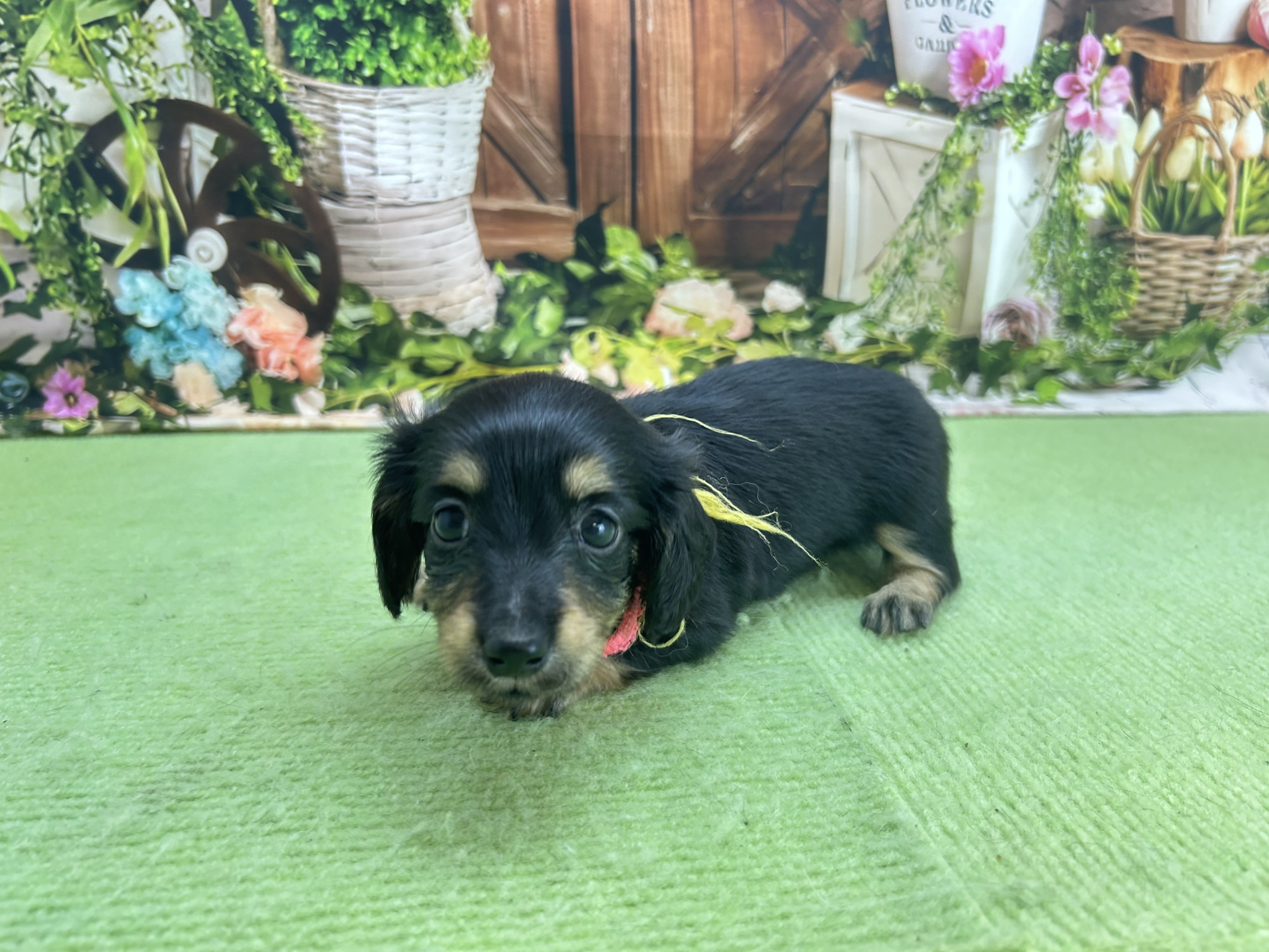 赤ちゃん写真2-2