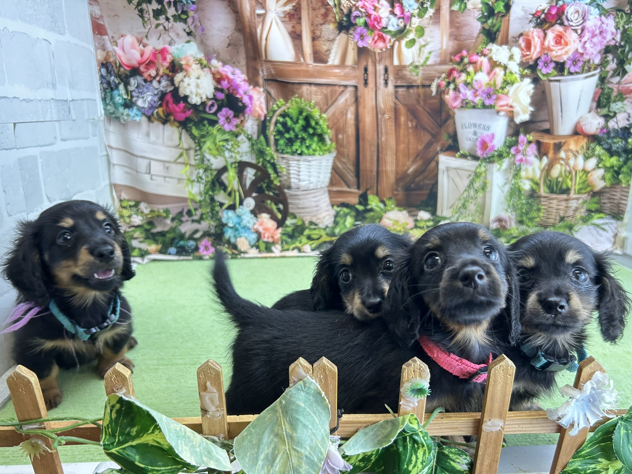 赤ちゃん写真3-3