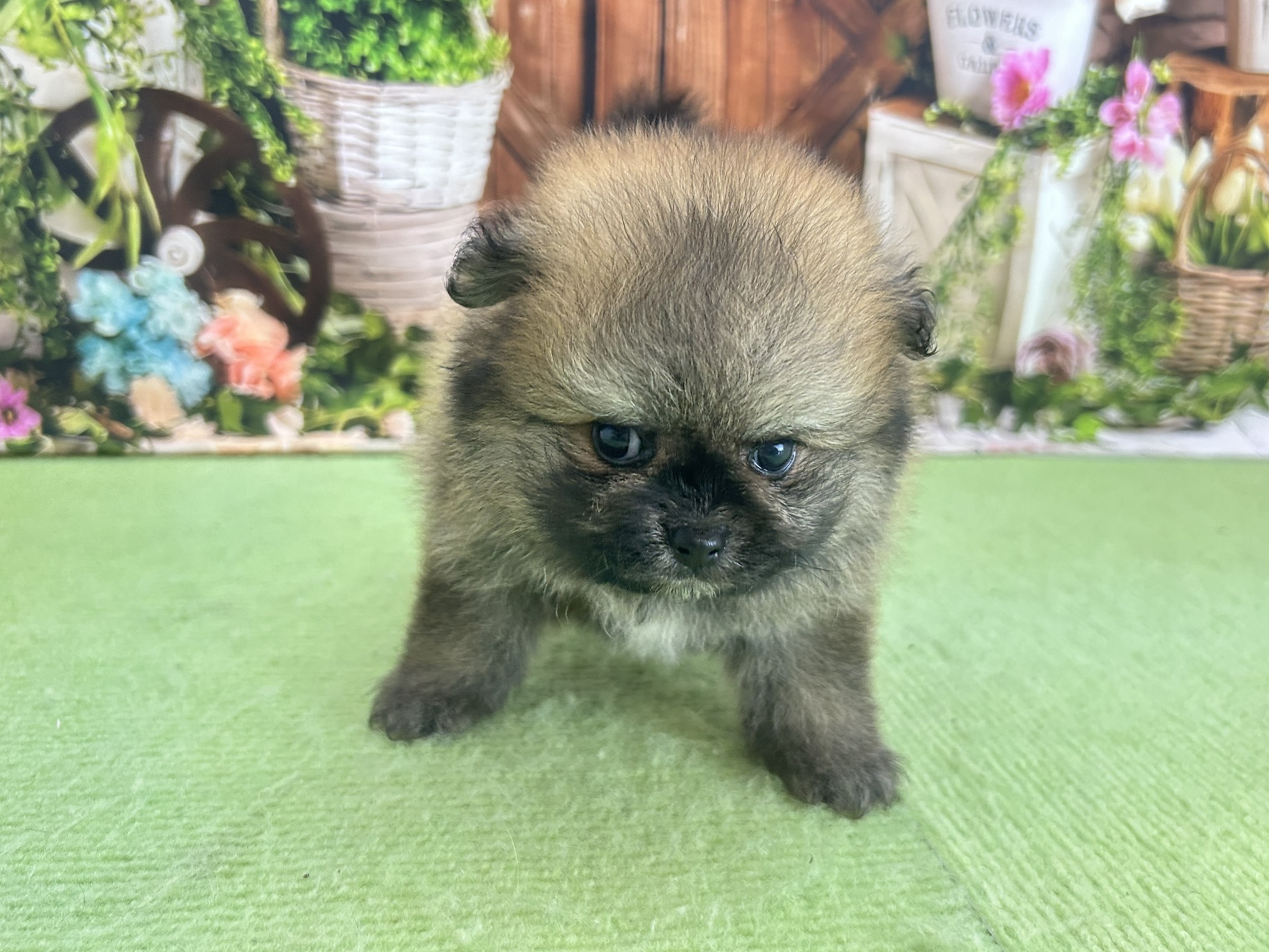 赤ちゃん写真2-1