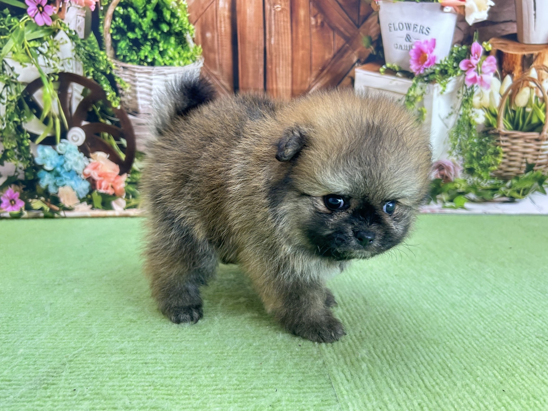赤ちゃん写真2-2