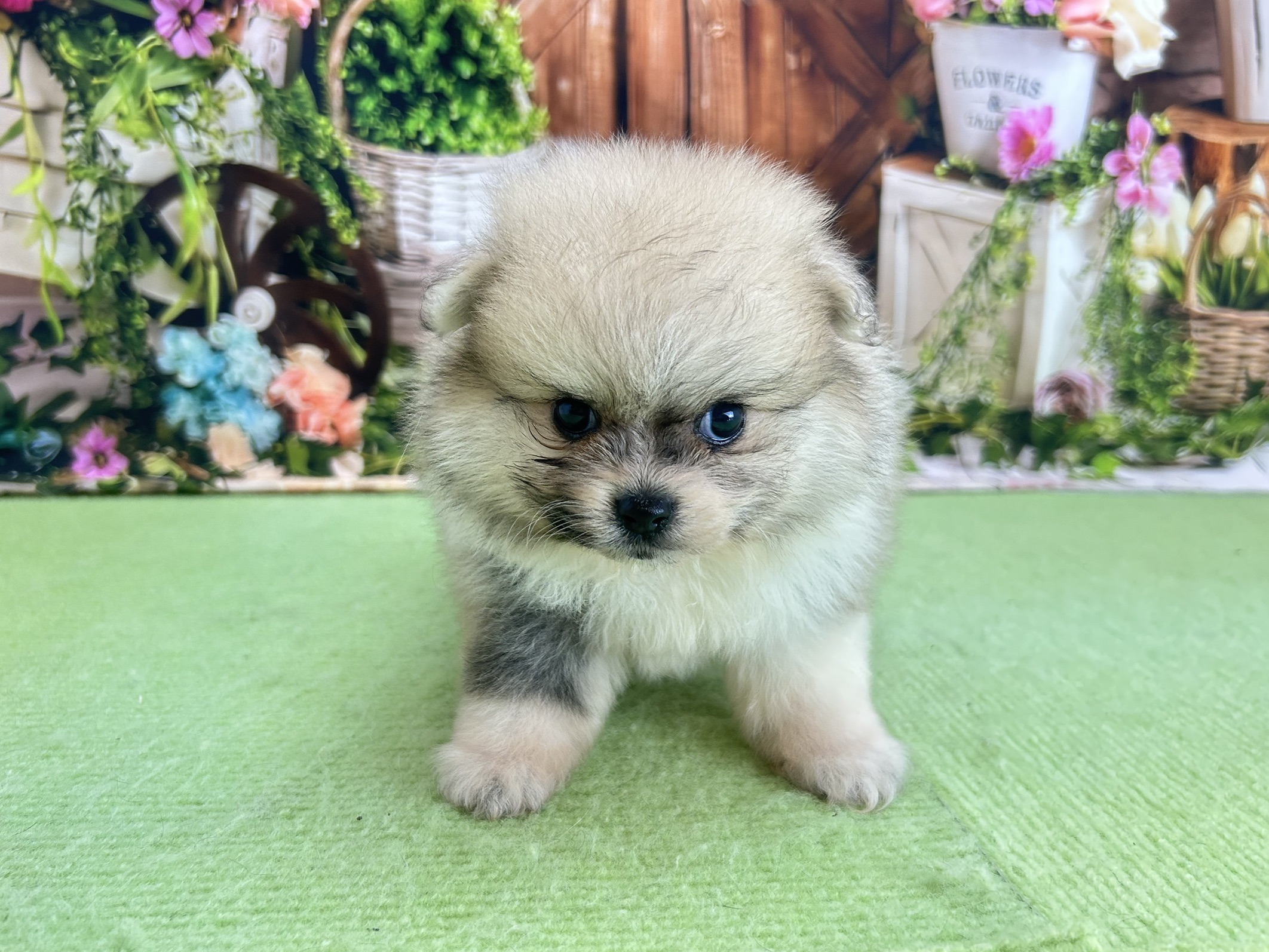 赤ちゃん写真2-1