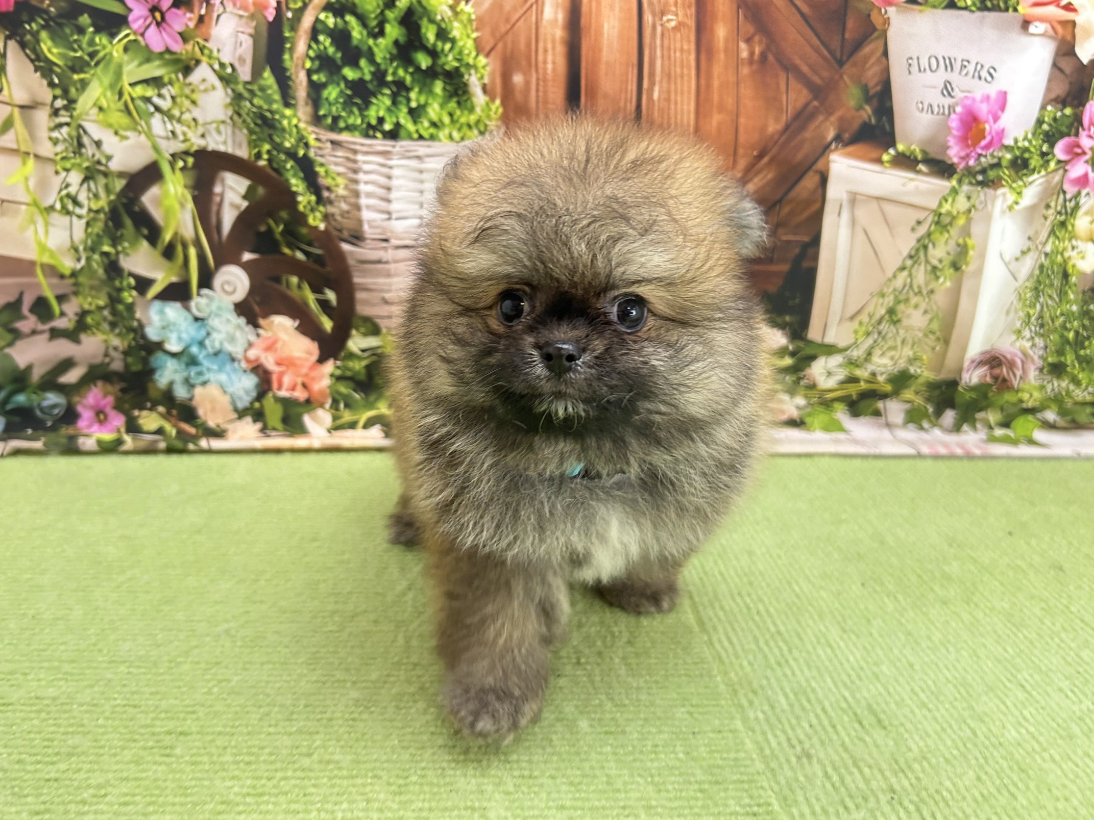 赤ちゃん写真3-1