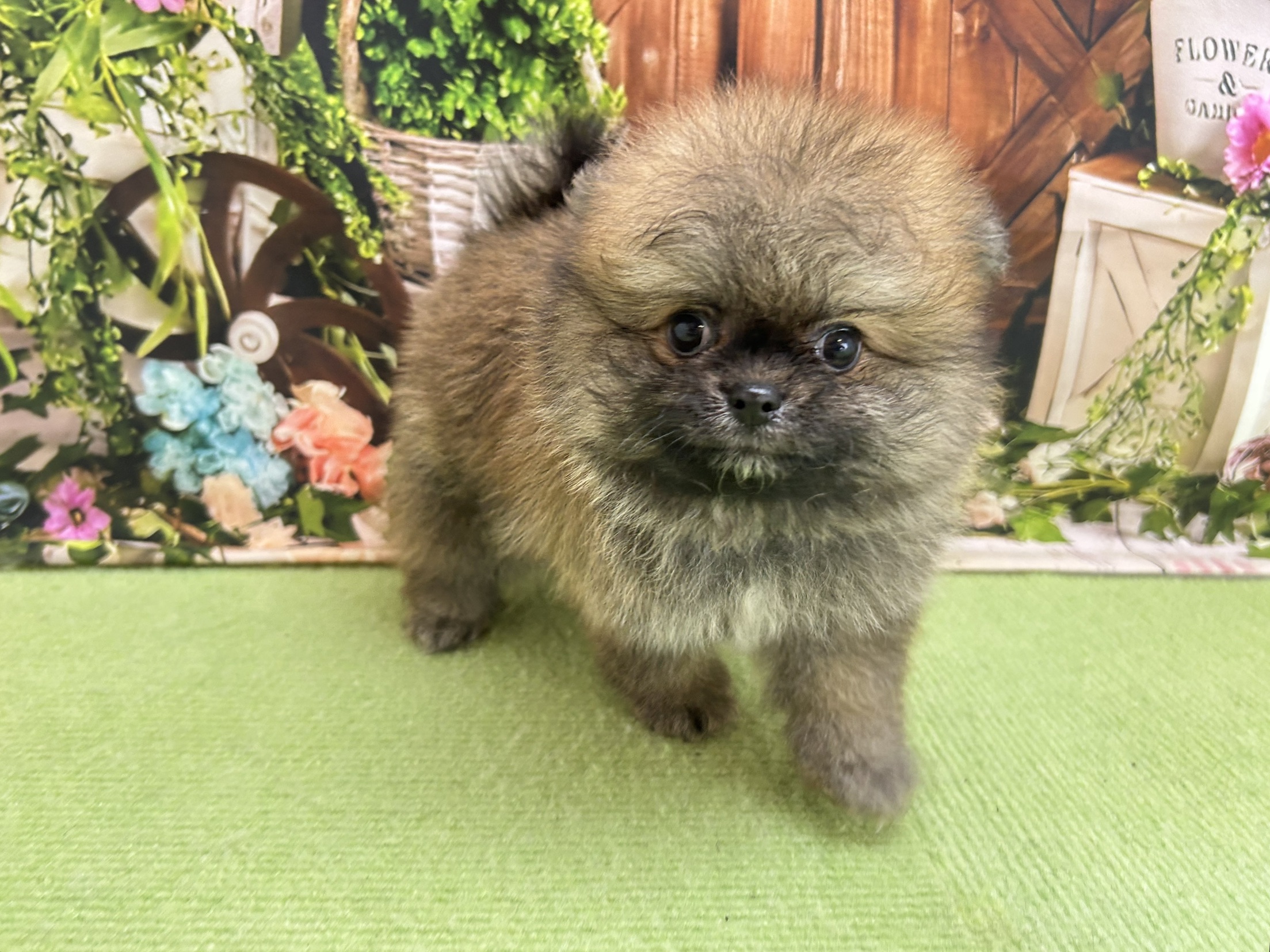 赤ちゃん写真3-2