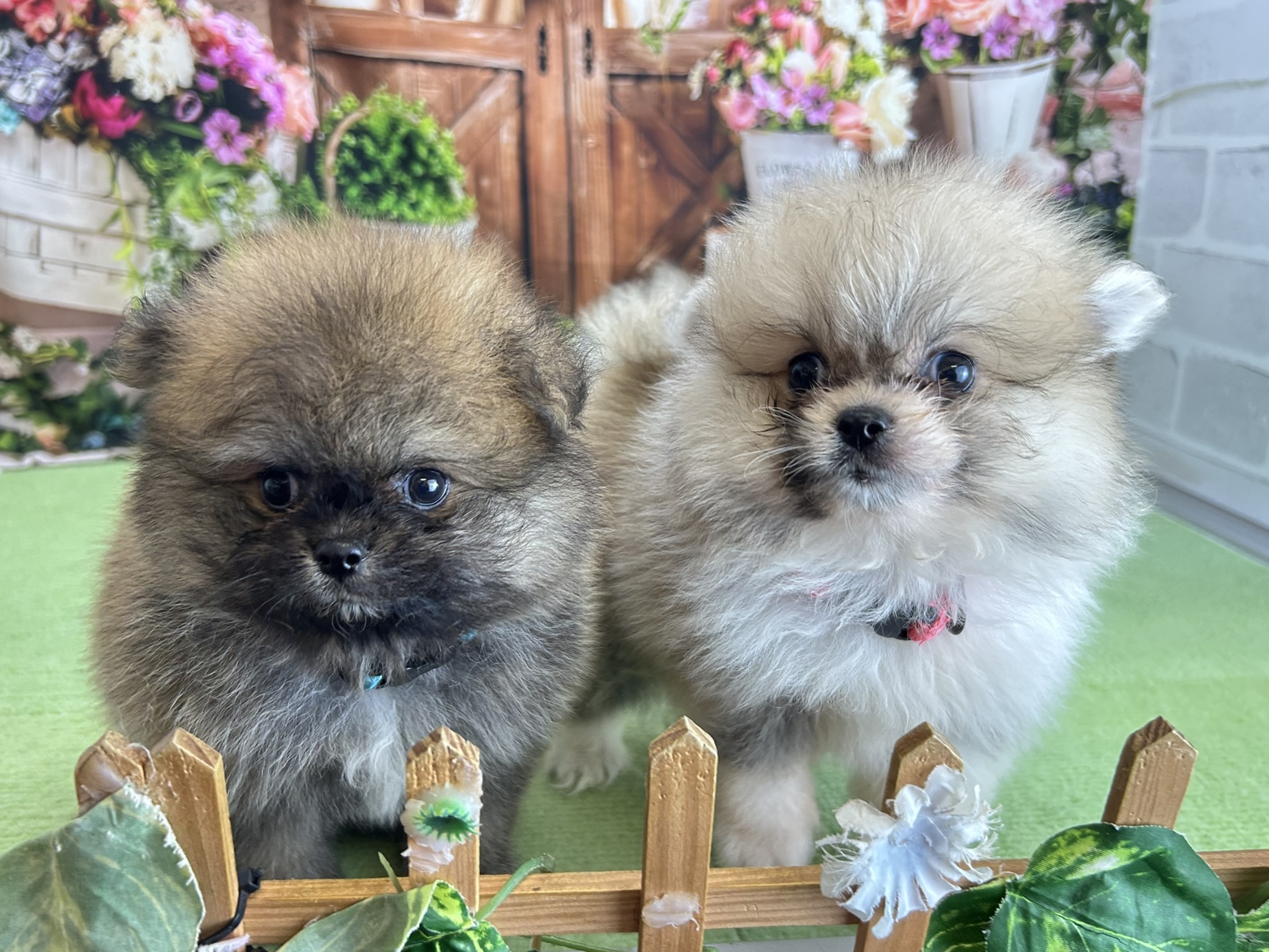 赤ちゃん写真3-3