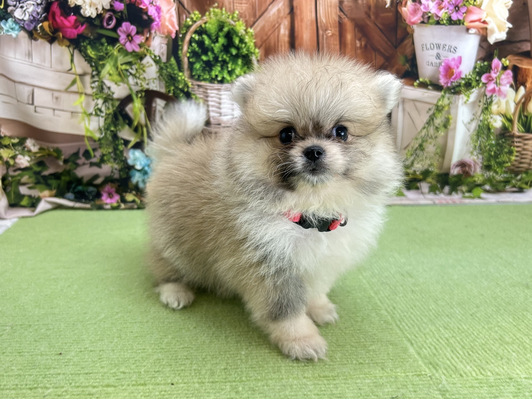 赤ちゃん写真3-2