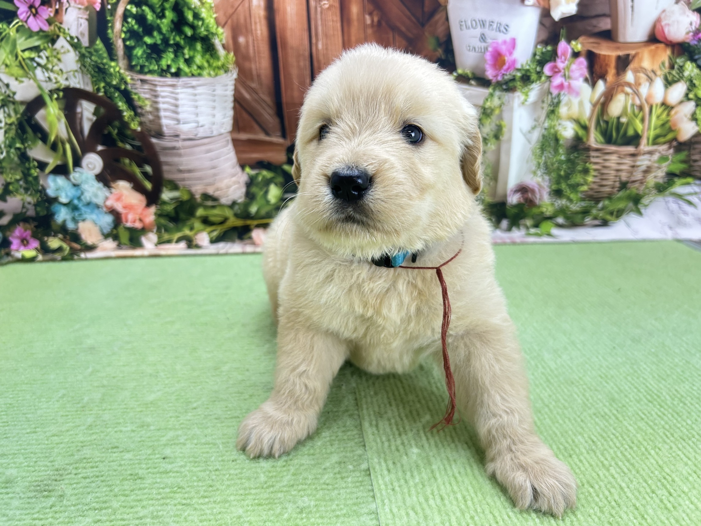 赤ちゃん写真2-1