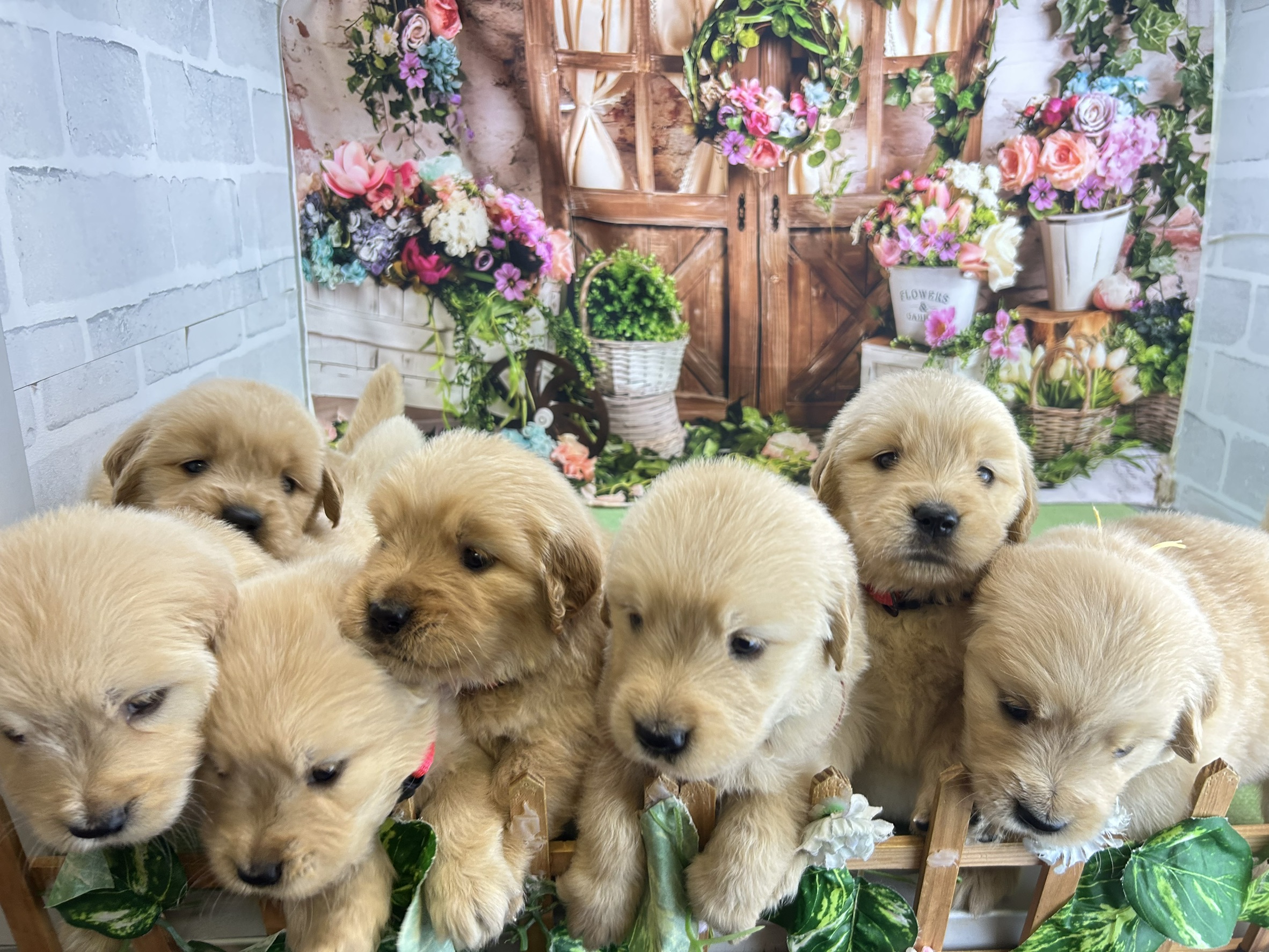 赤ちゃん写真2-3