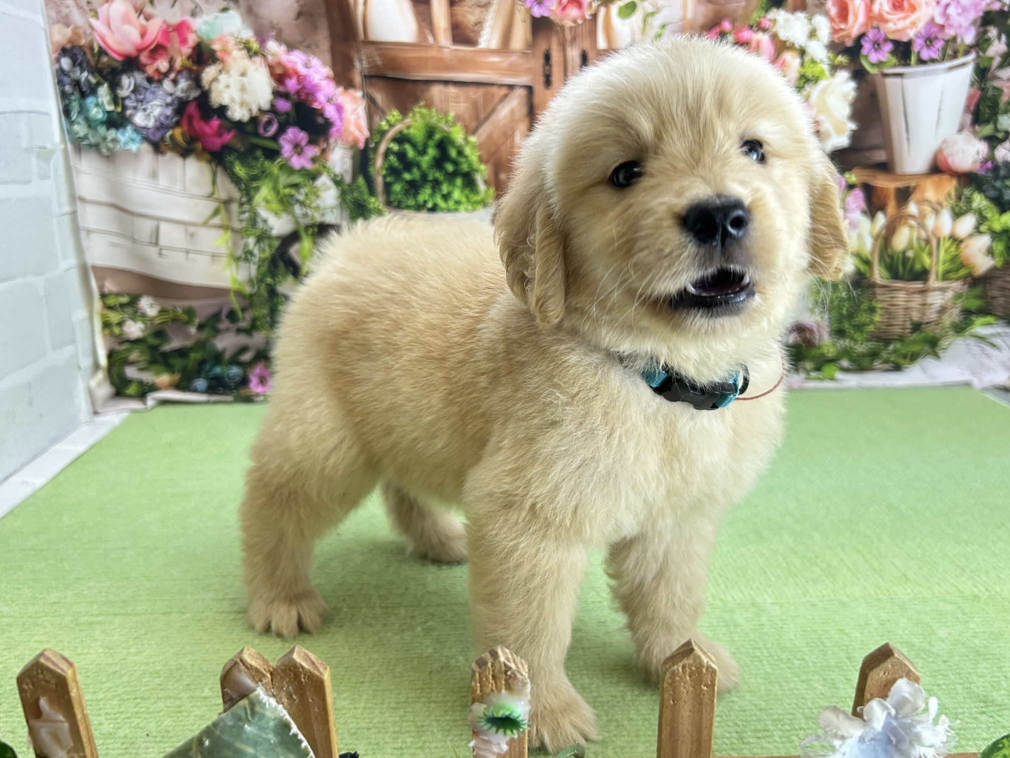 赤ちゃん写真3-2