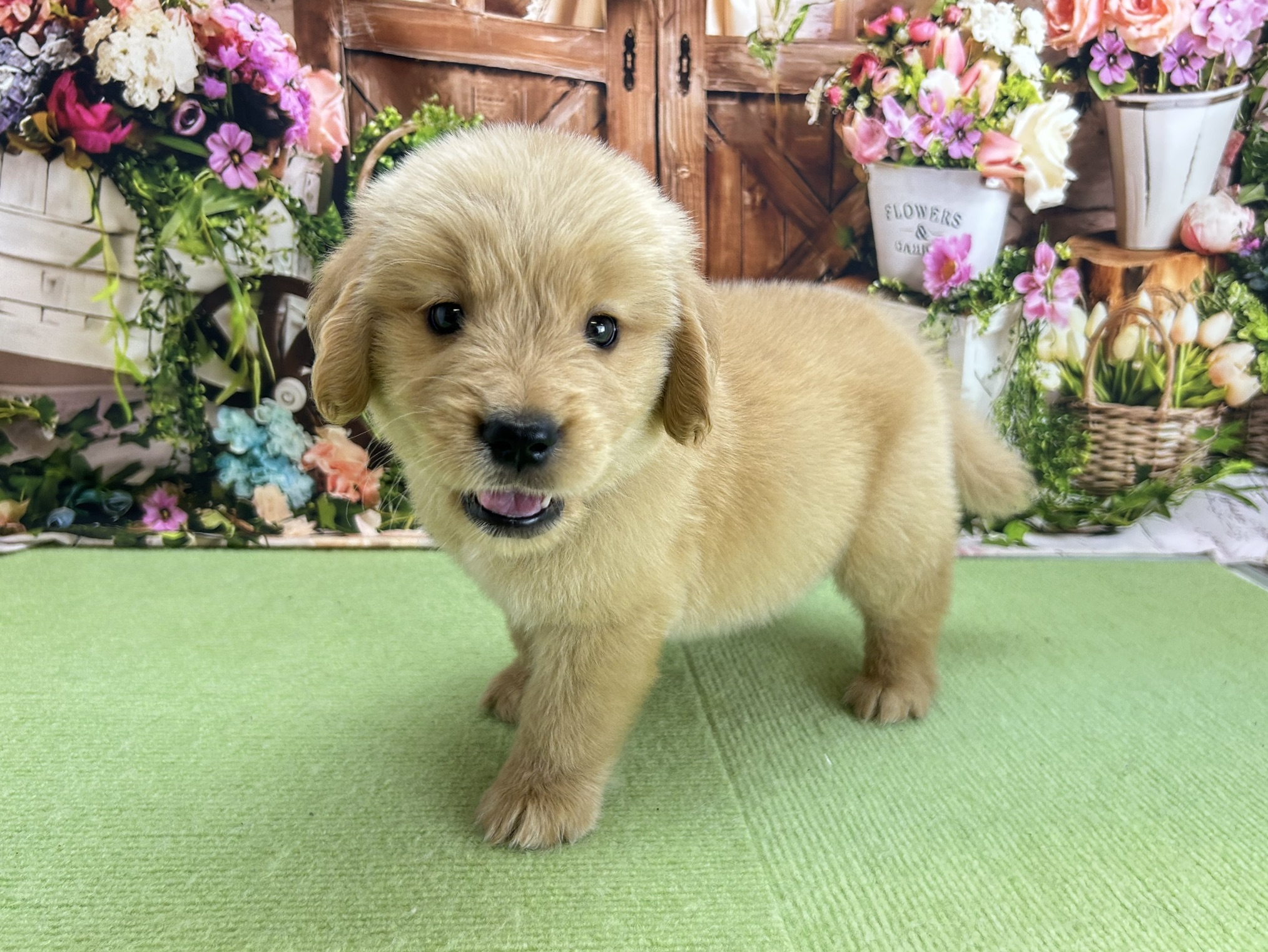 赤ちゃん写真3-2