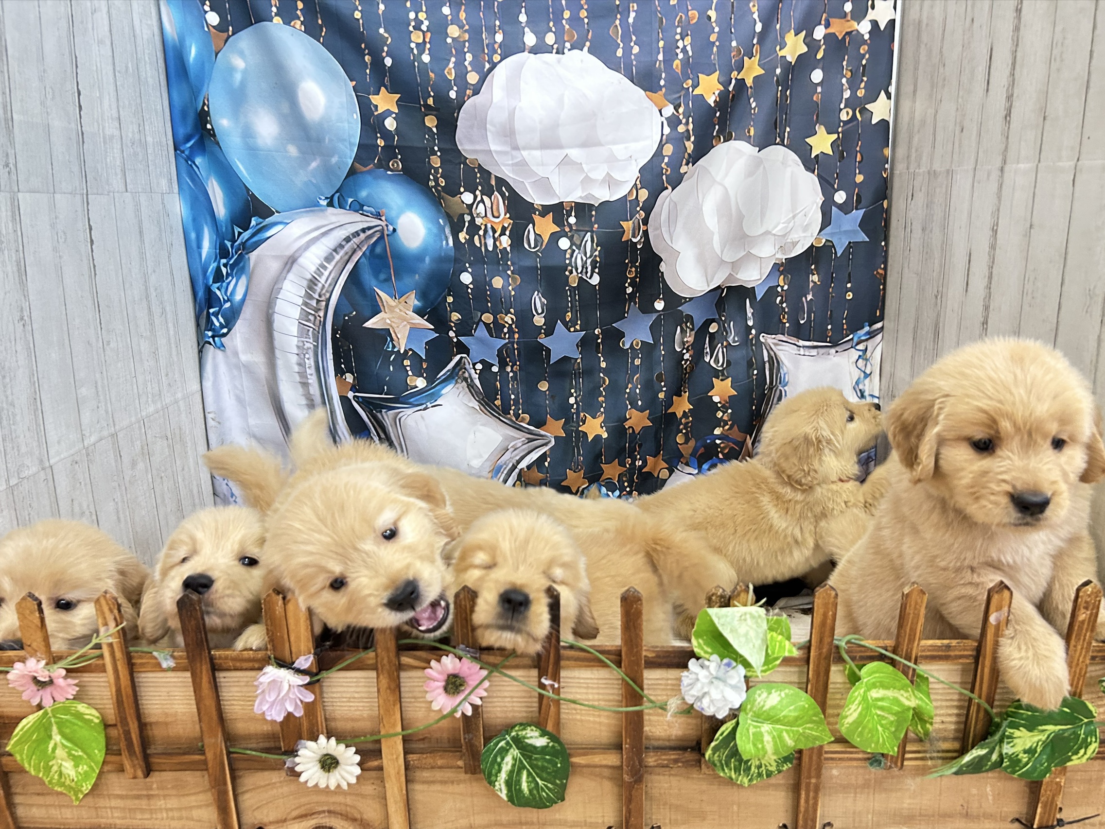 赤ちゃん写真3-3