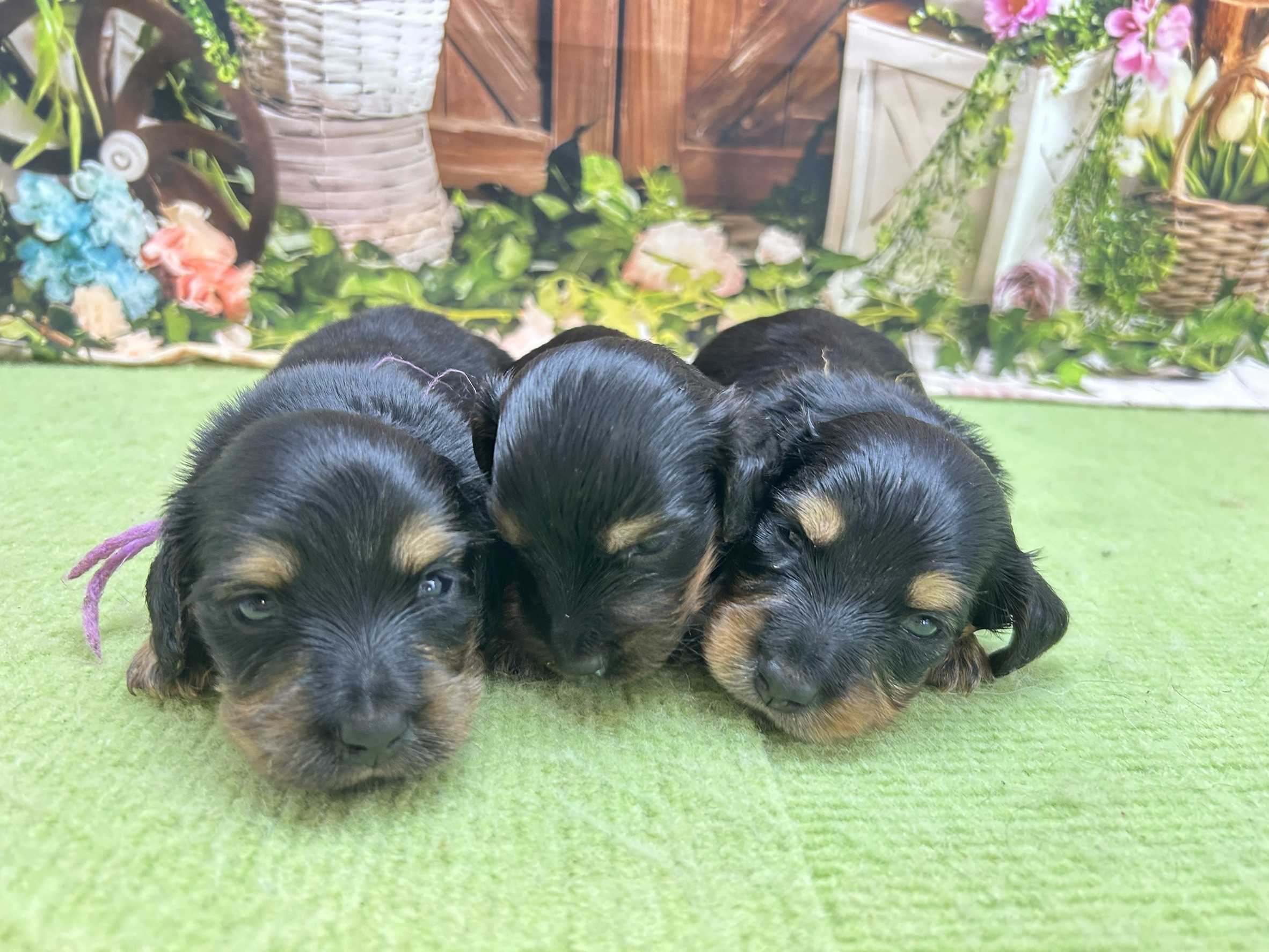 赤ちゃん写真1-3