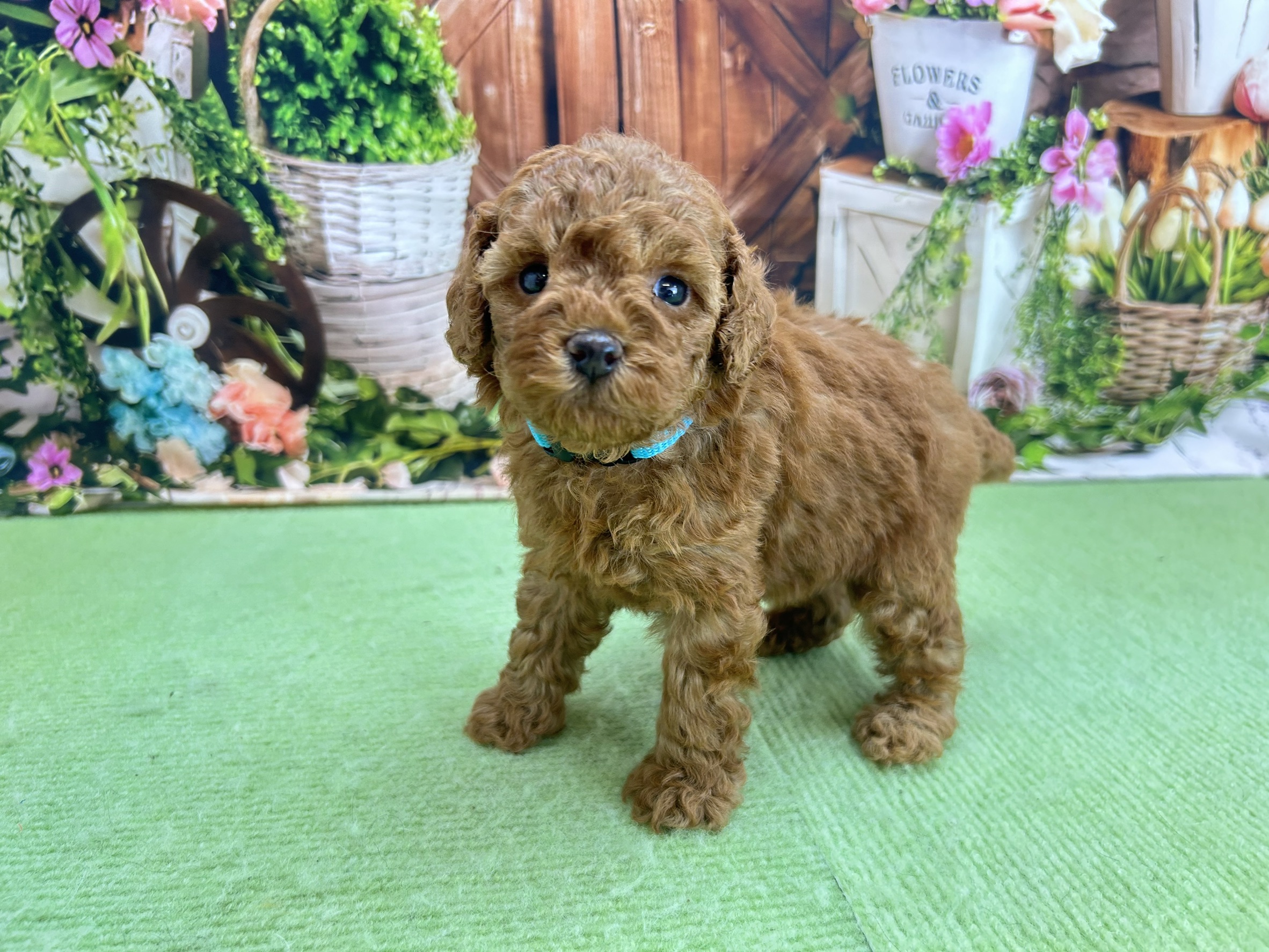 赤ちゃん写真2-2