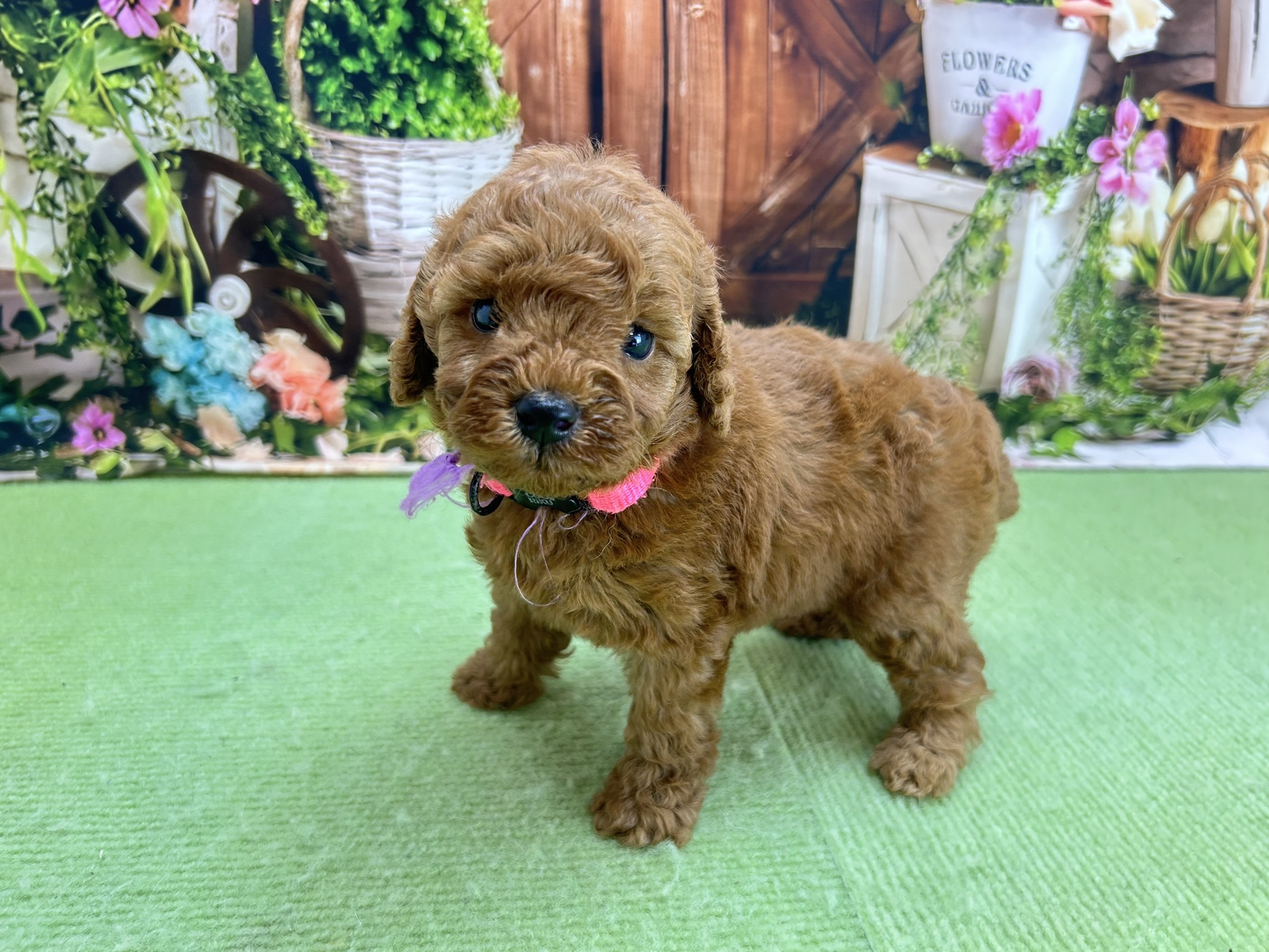 赤ちゃん写真2-2