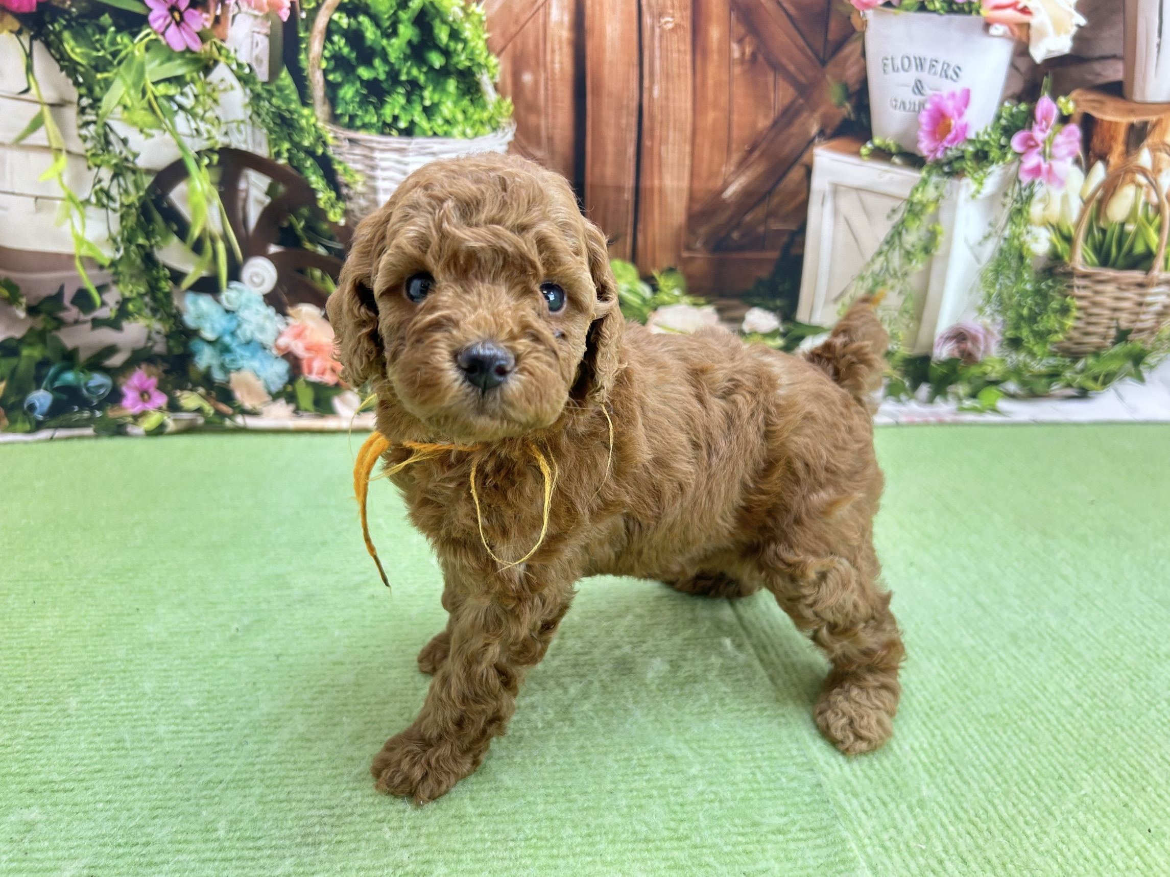 赤ちゃん写真2-2